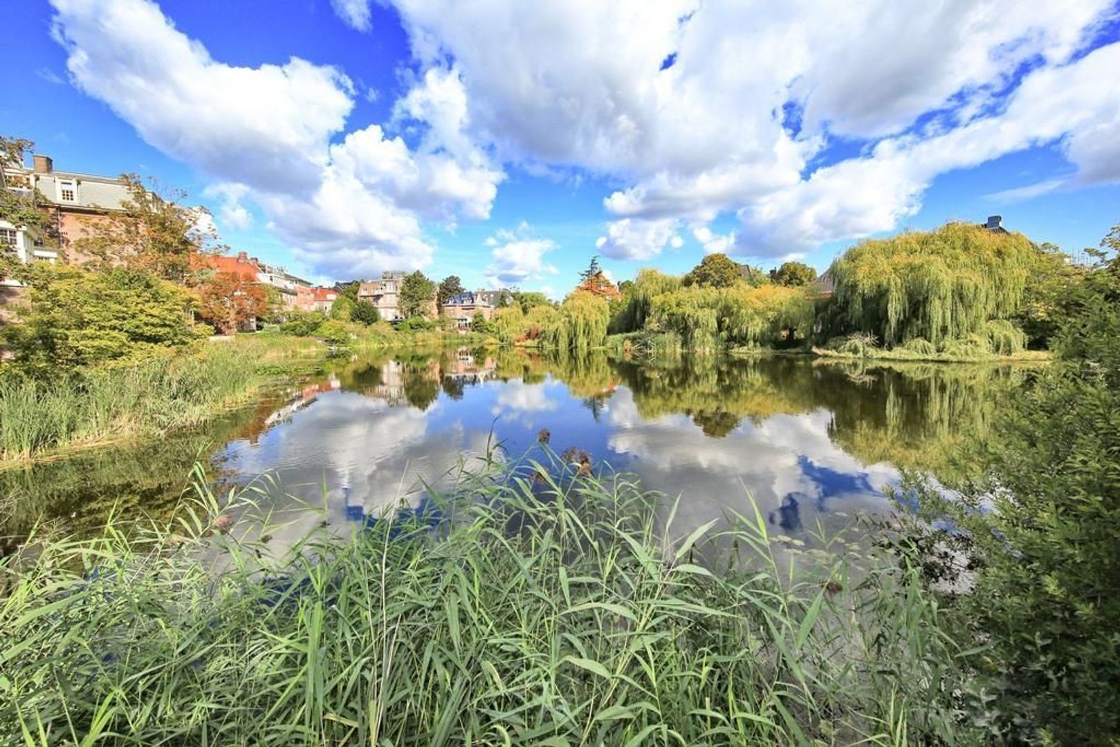 Koninginneweg 192 HS, Amsterdam foto-46 blur