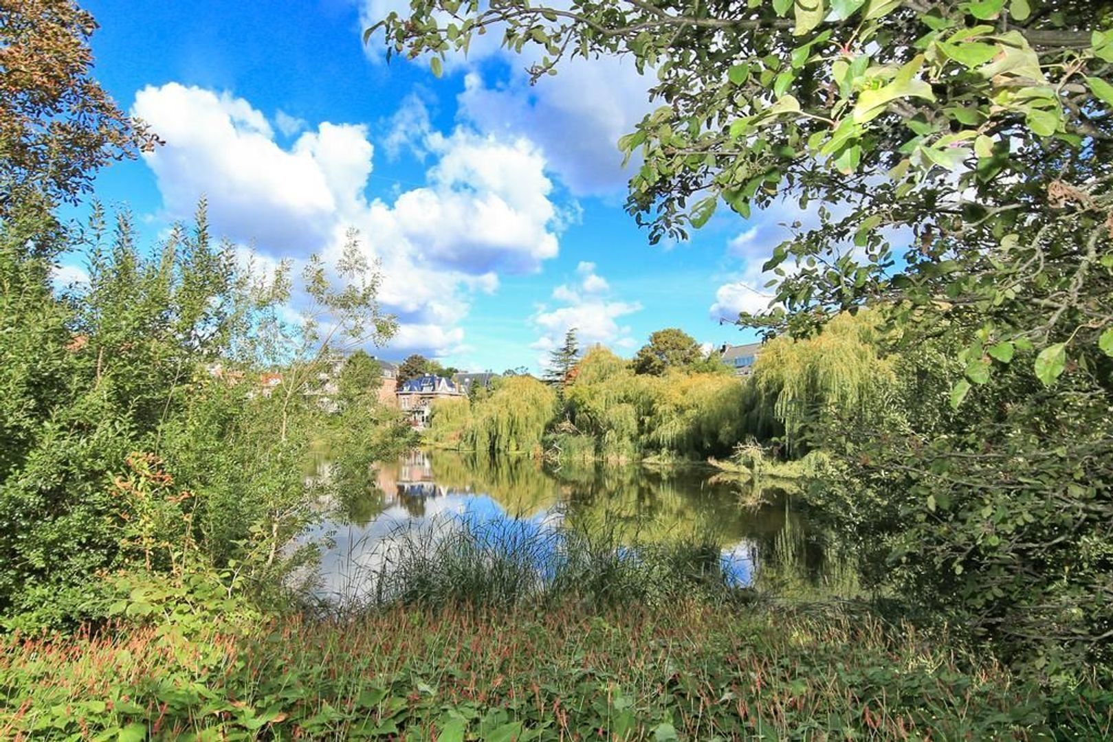 Koninginneweg 192 HS, Amsterdam foto-48 blur