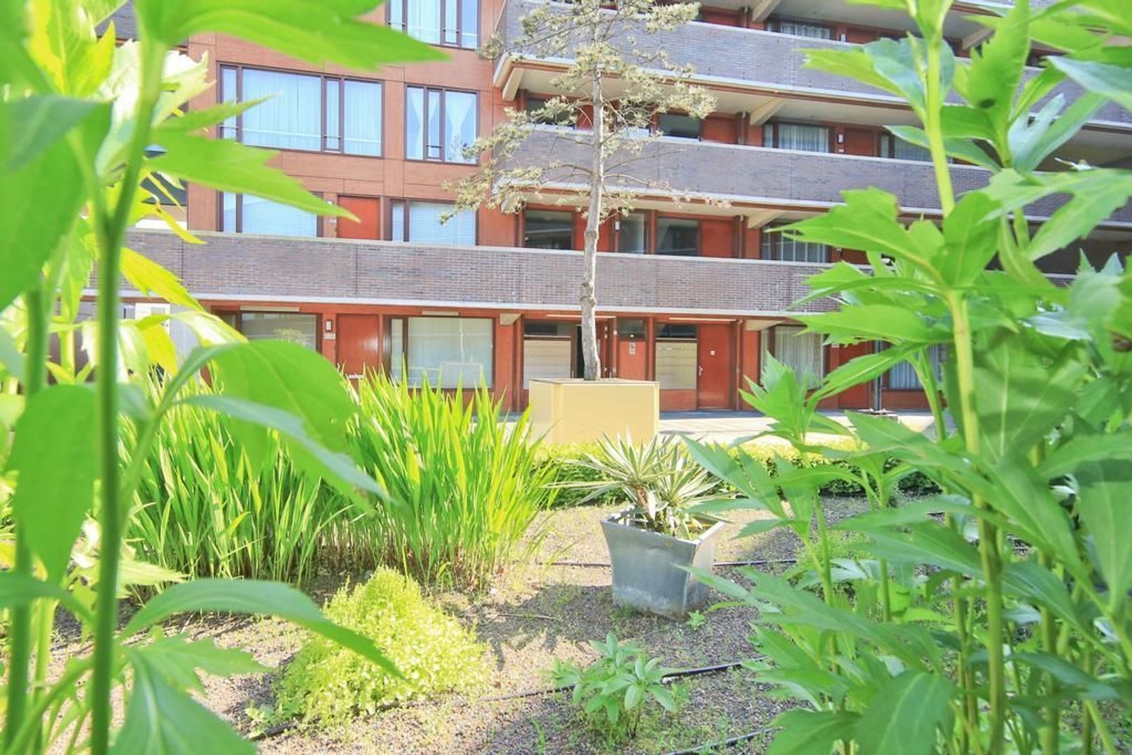 Pieter Calandlaan 638, Amsterdam foto-34 blur