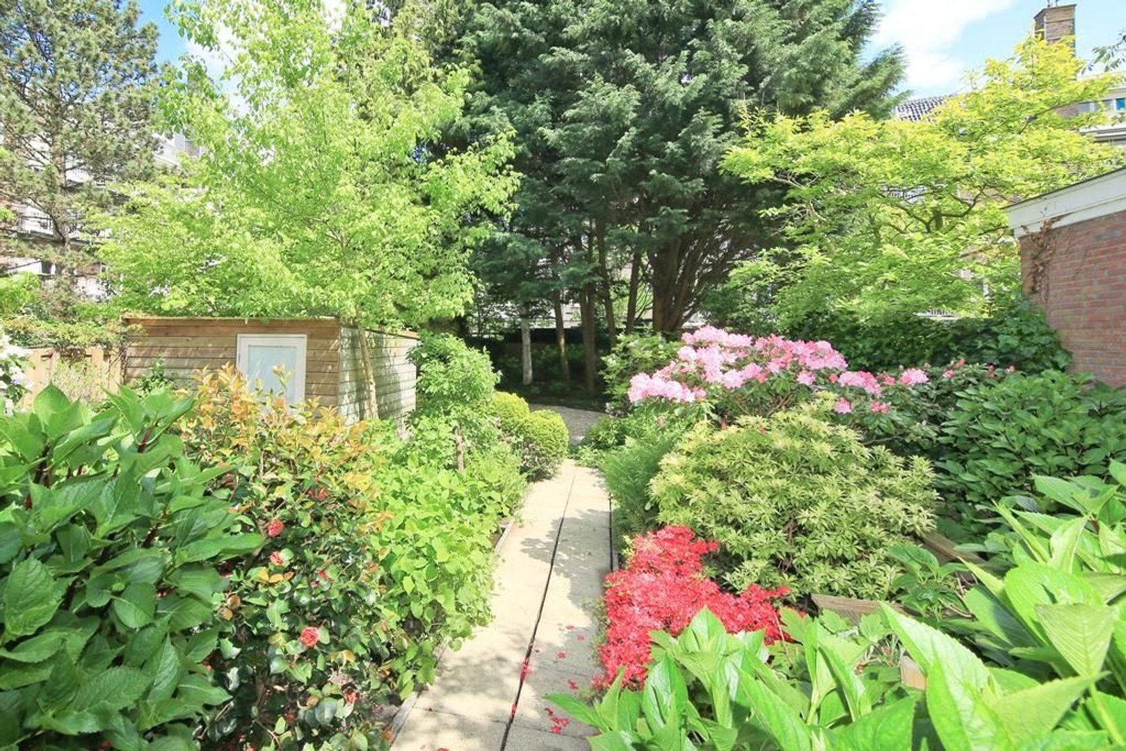 Holbeinstraat 5 Huis, Amsterdam foto-17 blur