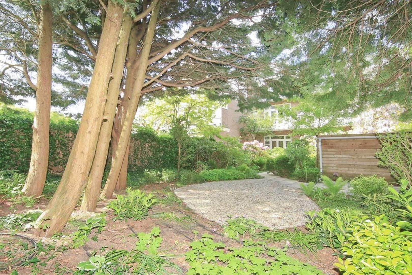 Holbeinstraat 5 Huis, Amsterdam foto-18 blur