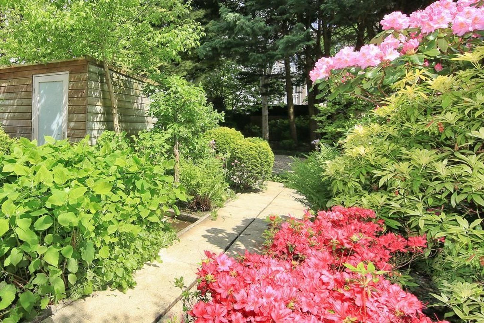 Holbeinstraat 5 Huis, Amsterdam foto-23 blur