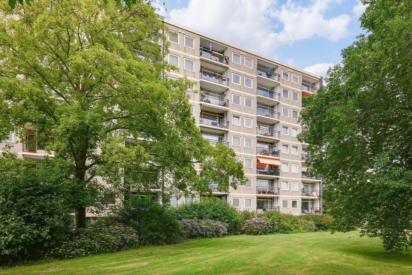 Amerbos 254, Amsterdam foto-18 blur