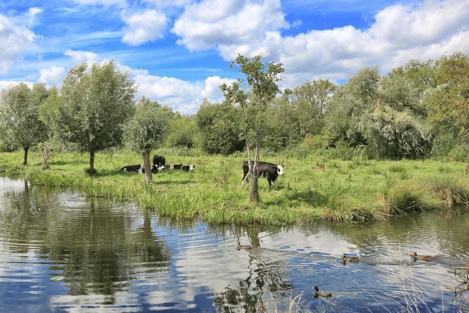 Pampuszigt 36, Diemen foto-45 blur