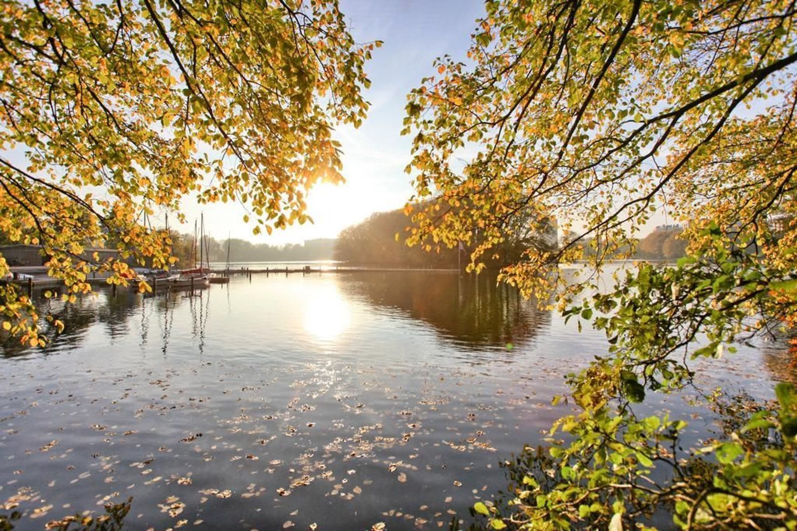 Cornelis van Alkemadestraat 57, Amsterdam foto-43 blur