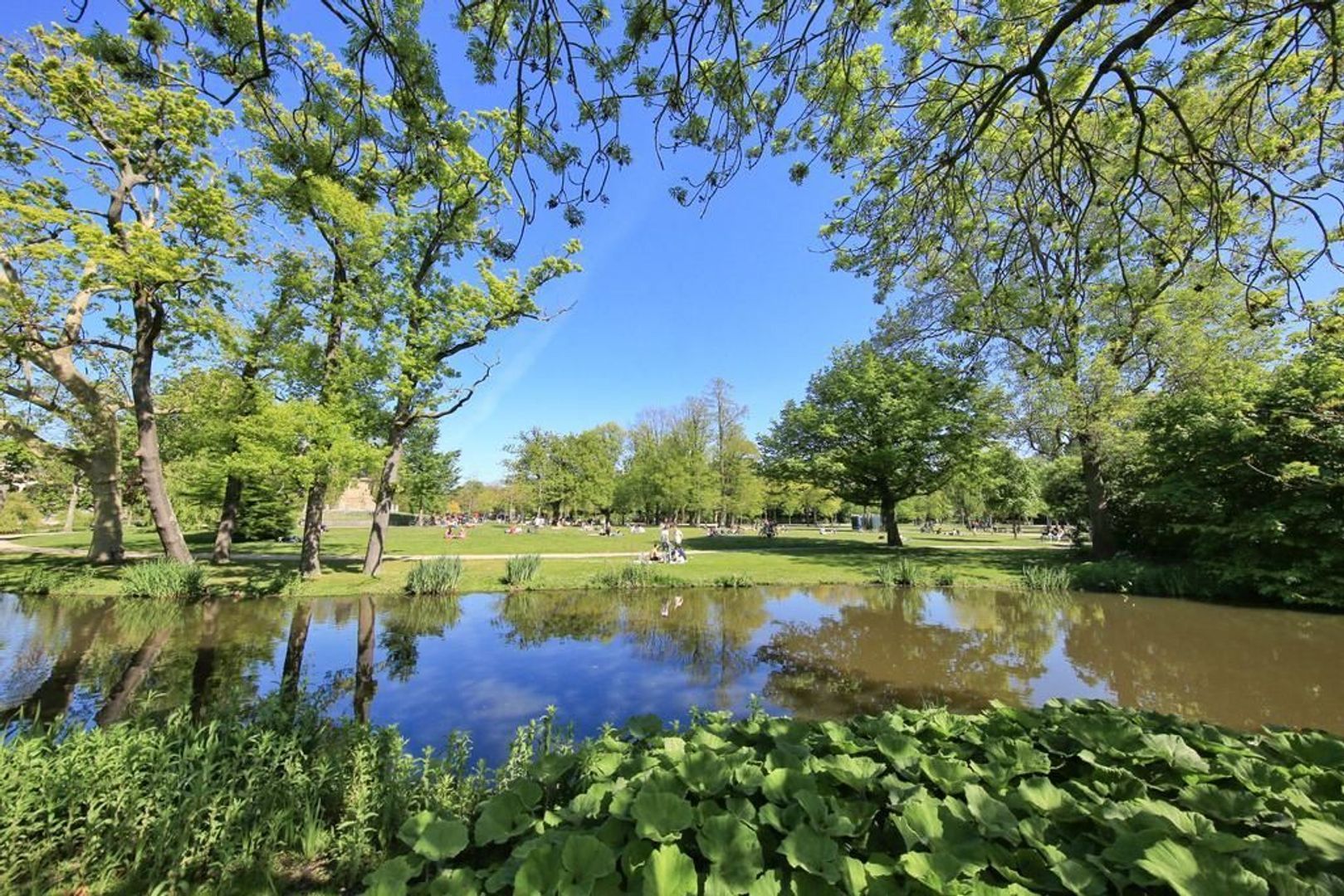 Apollolaan 197 C, Amsterdam foto-46 blur