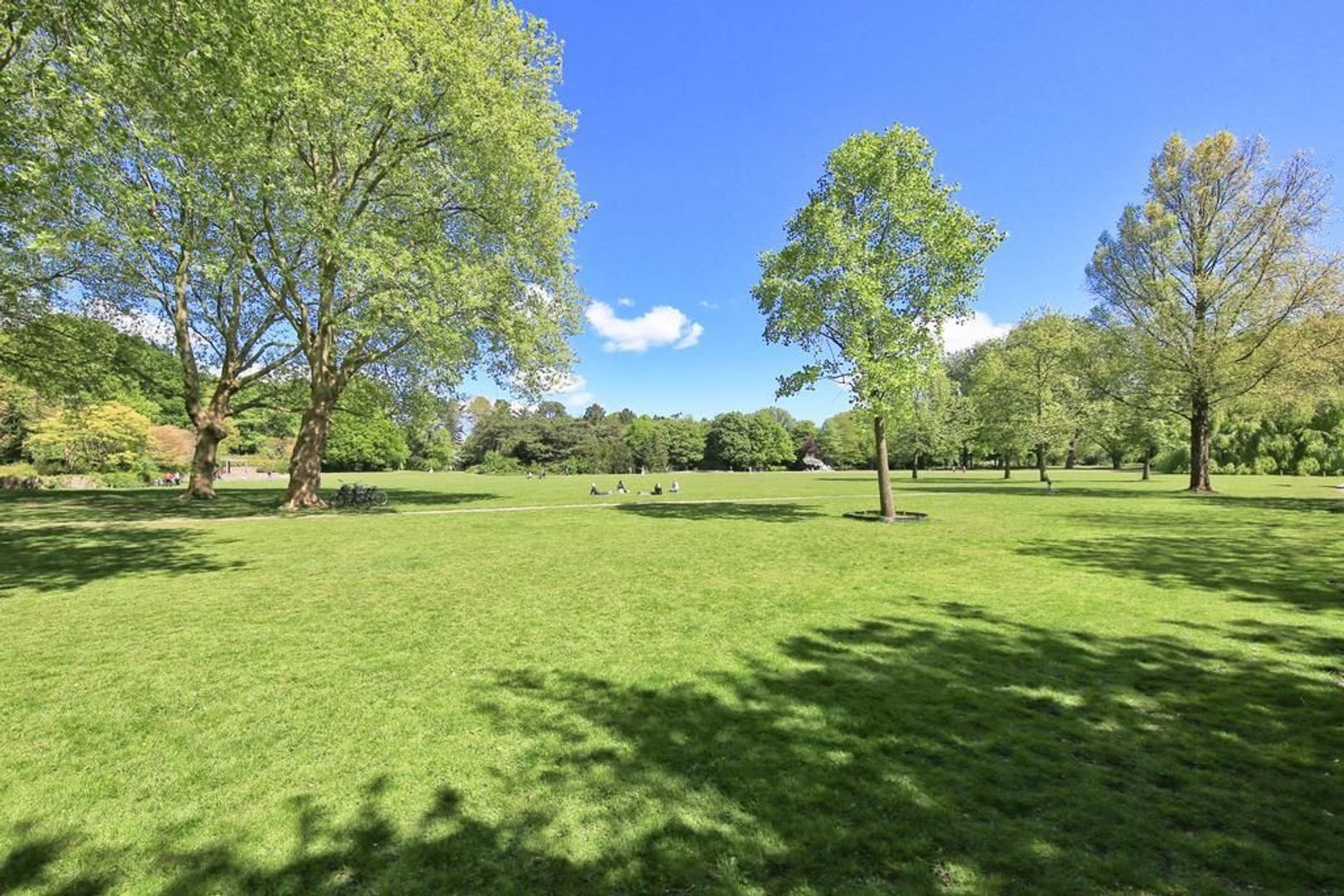 Rooseveltlaan 224 III, Amsterdam foto-40 blur