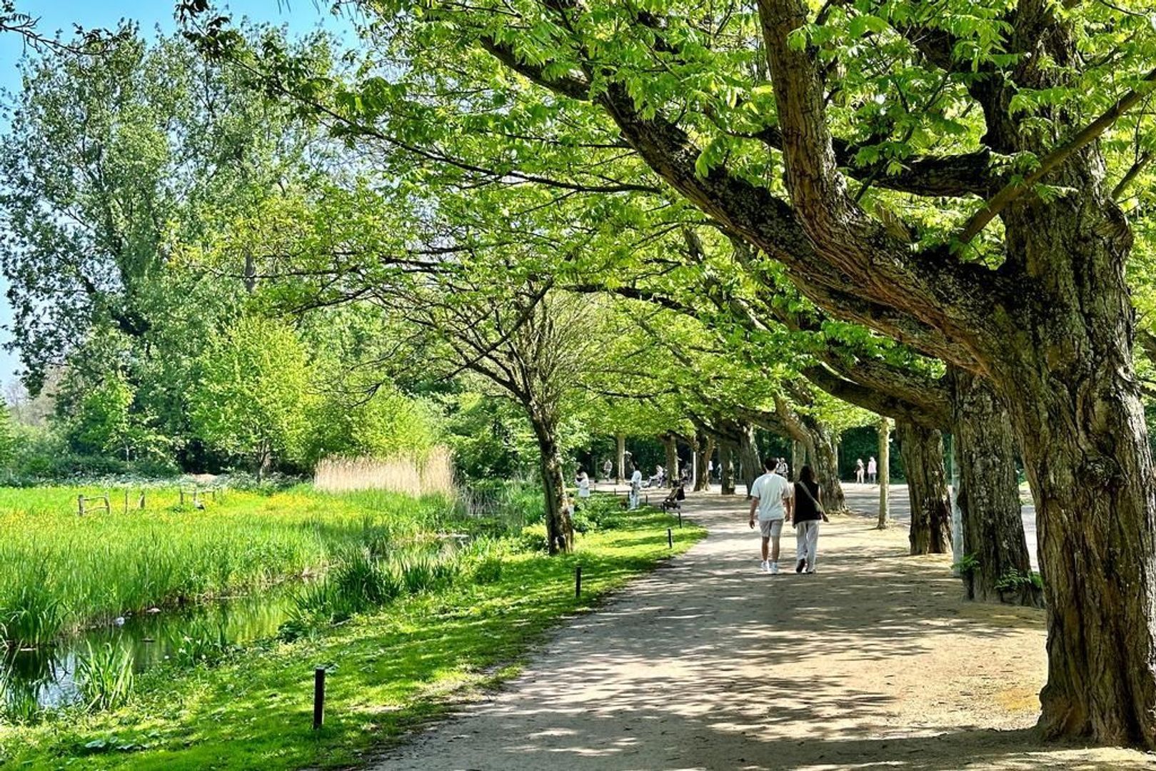 Paramariboplein 44 1, Amsterdam foto-43 blur