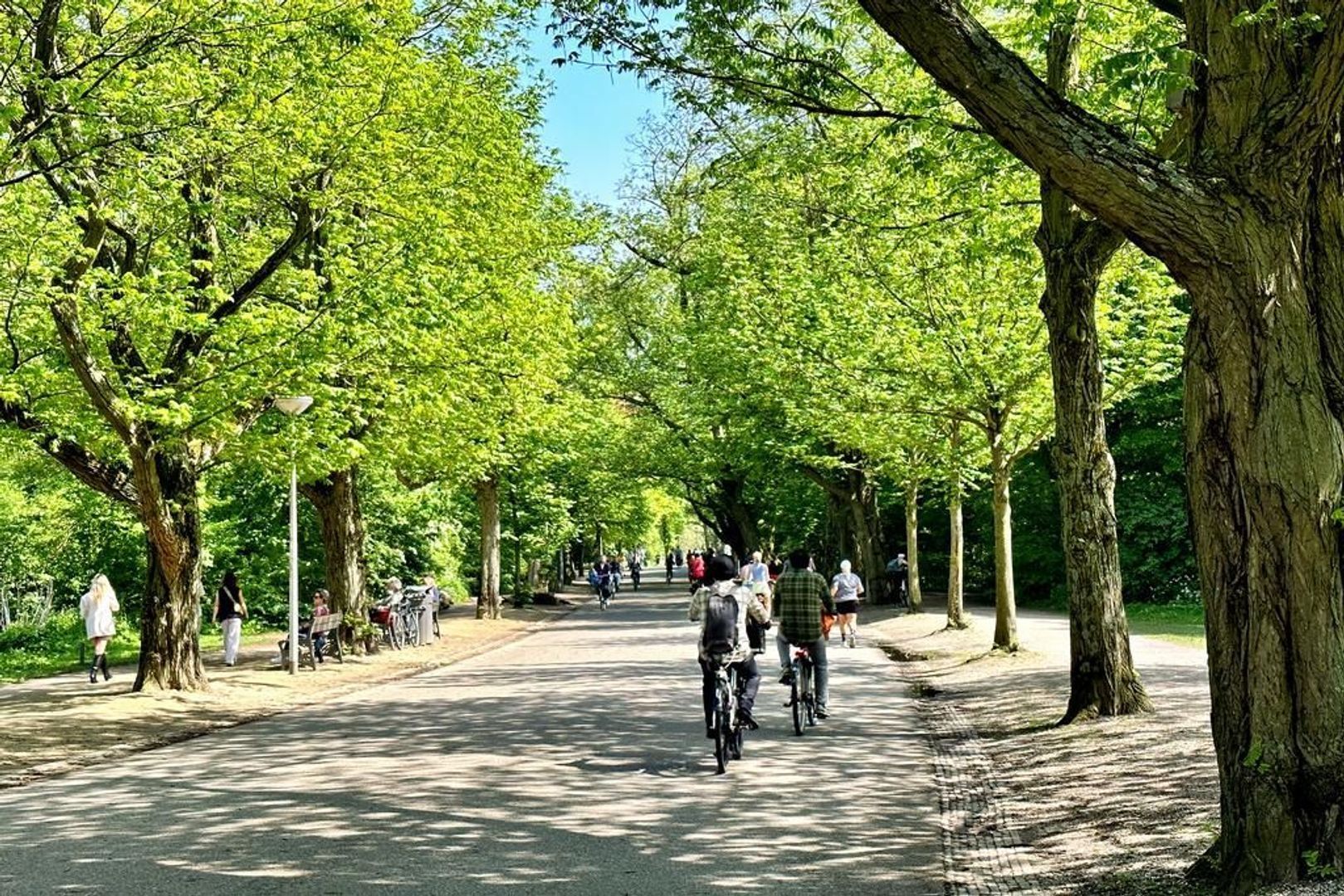 Paramariboplein 44 1, Amsterdam foto-45 blur