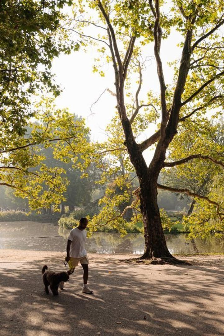 Vossiusstraat 17 A, Amsterdam foto-23 blur