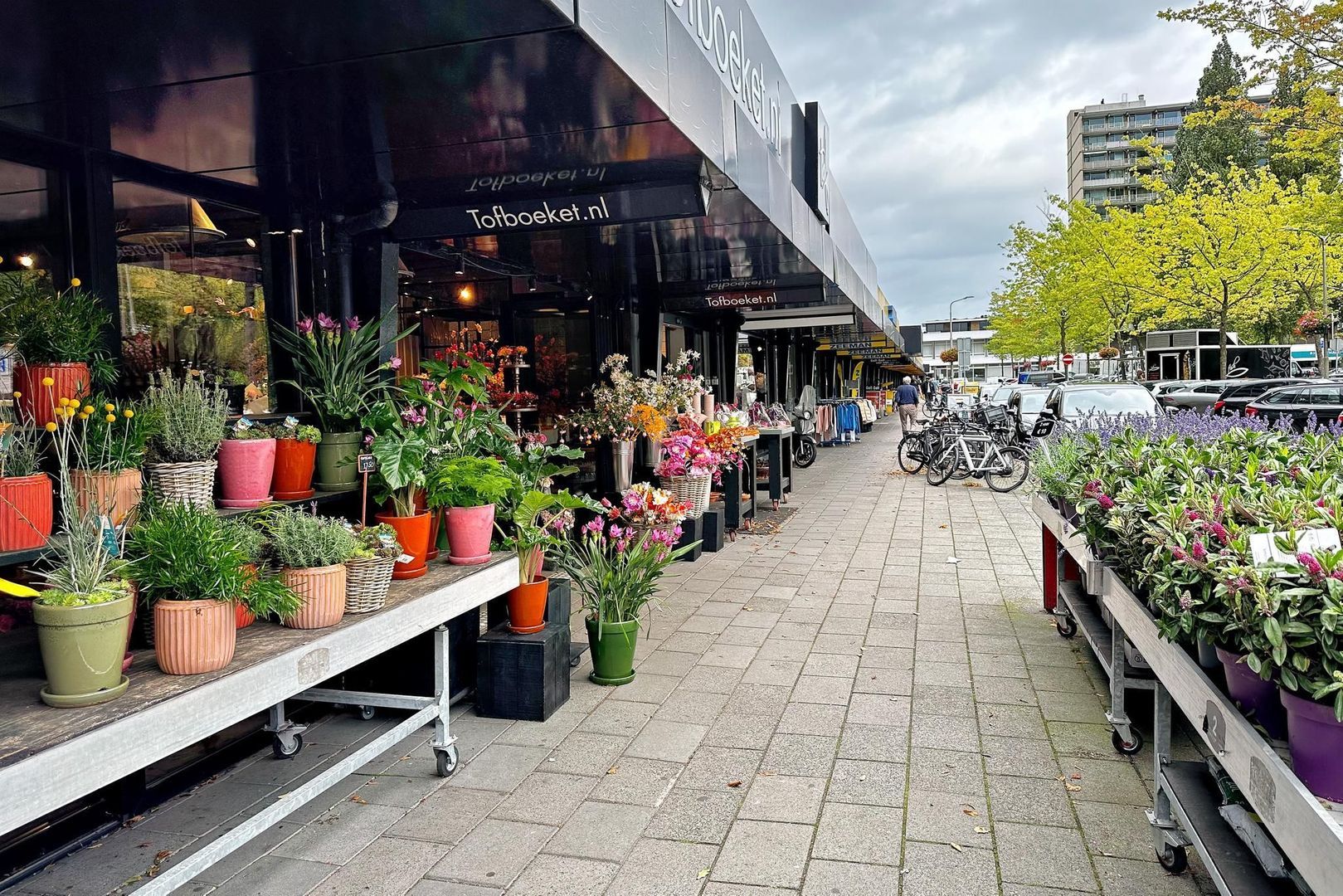 Tulpenburg 67, Amstelveen foto-47 blur