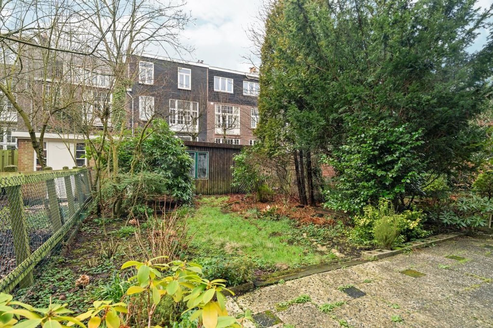 Paramariboplein 55, Amsterdam foto-28 blur