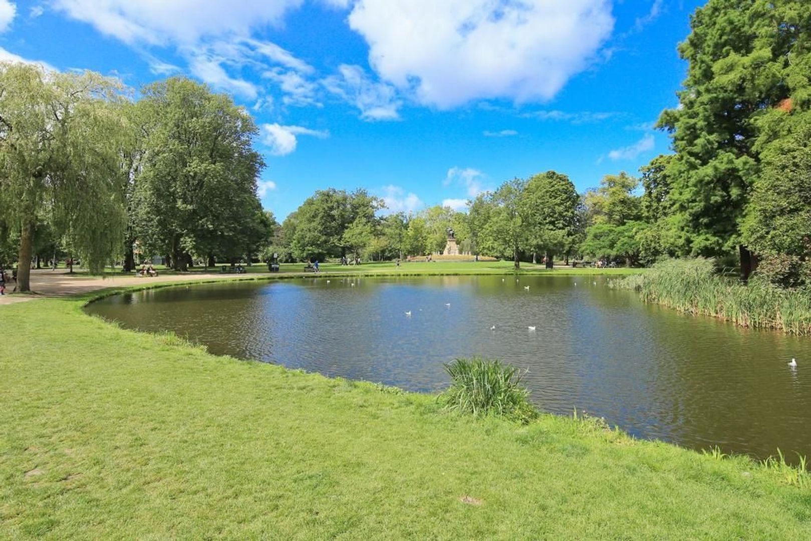 Paramariboplein 55, Amsterdam foto-45 blur