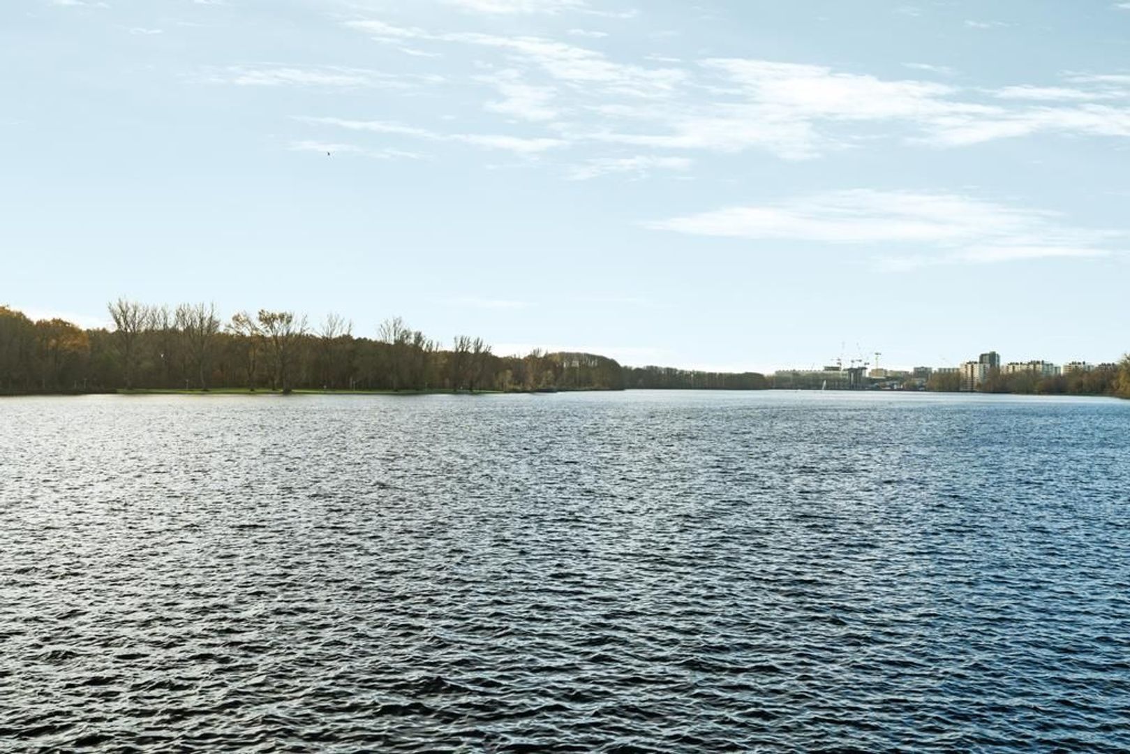 Burgemeester Hogguerstraat 793 G, Amsterdam foto-26 blur