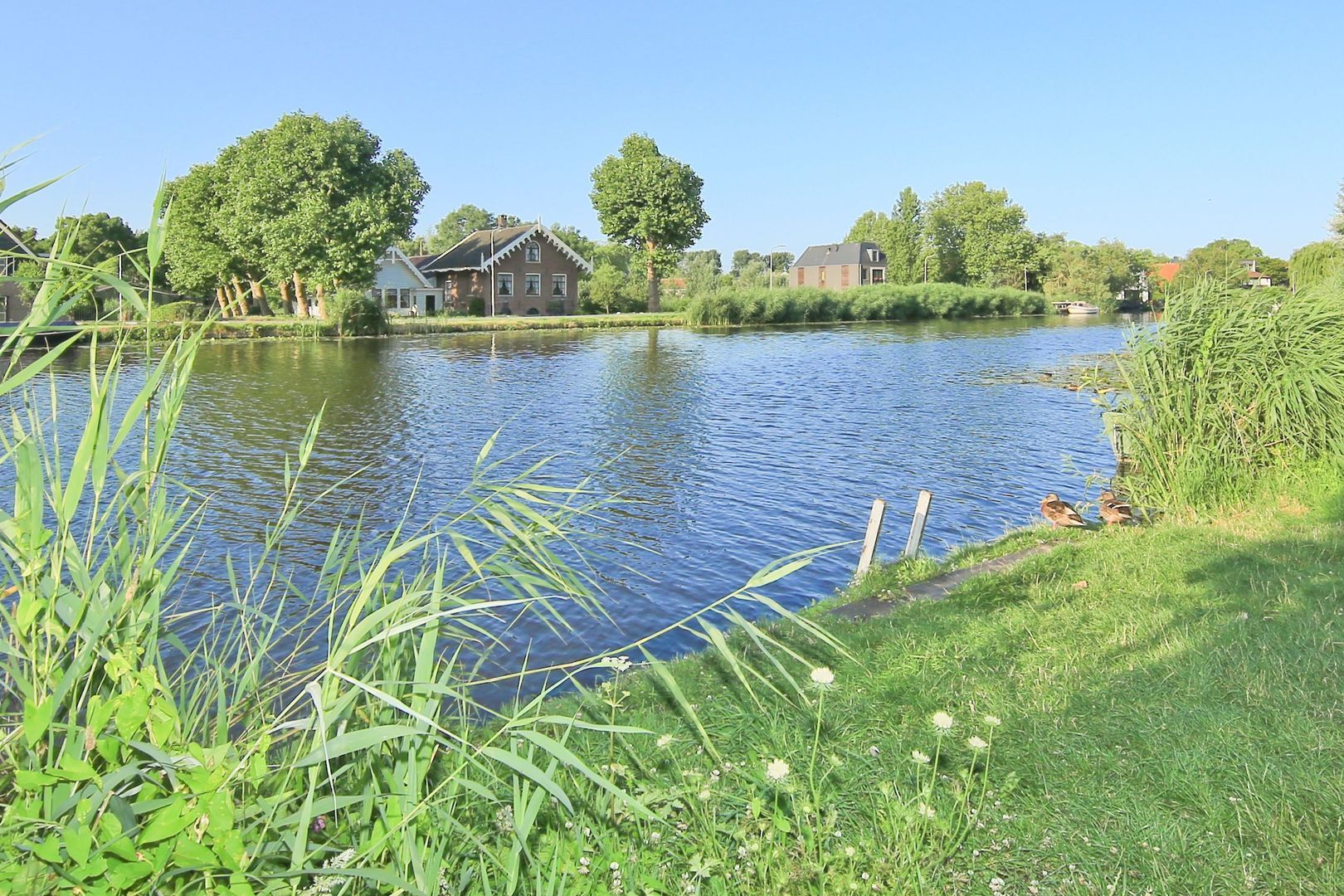 Rondehoep Oost 13 A, Ouderkerk Aan De Amstel foto-23 blur