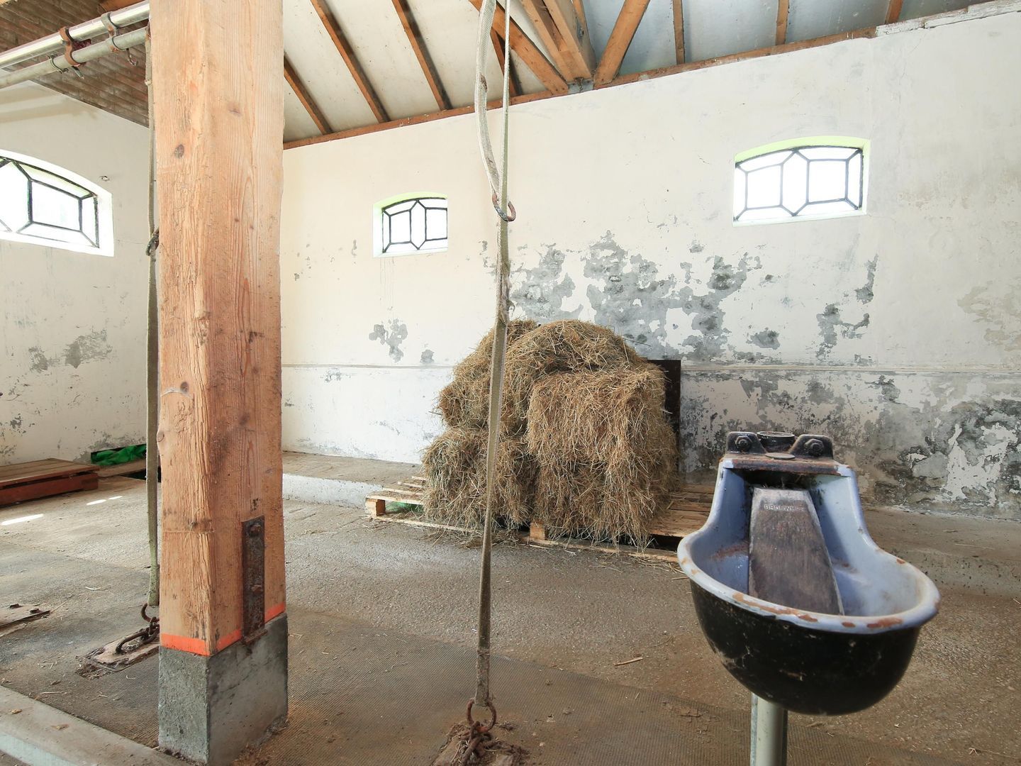 Rondehoep Oost 13 A, Ouderkerk Aan De Amstel foto-48 blur