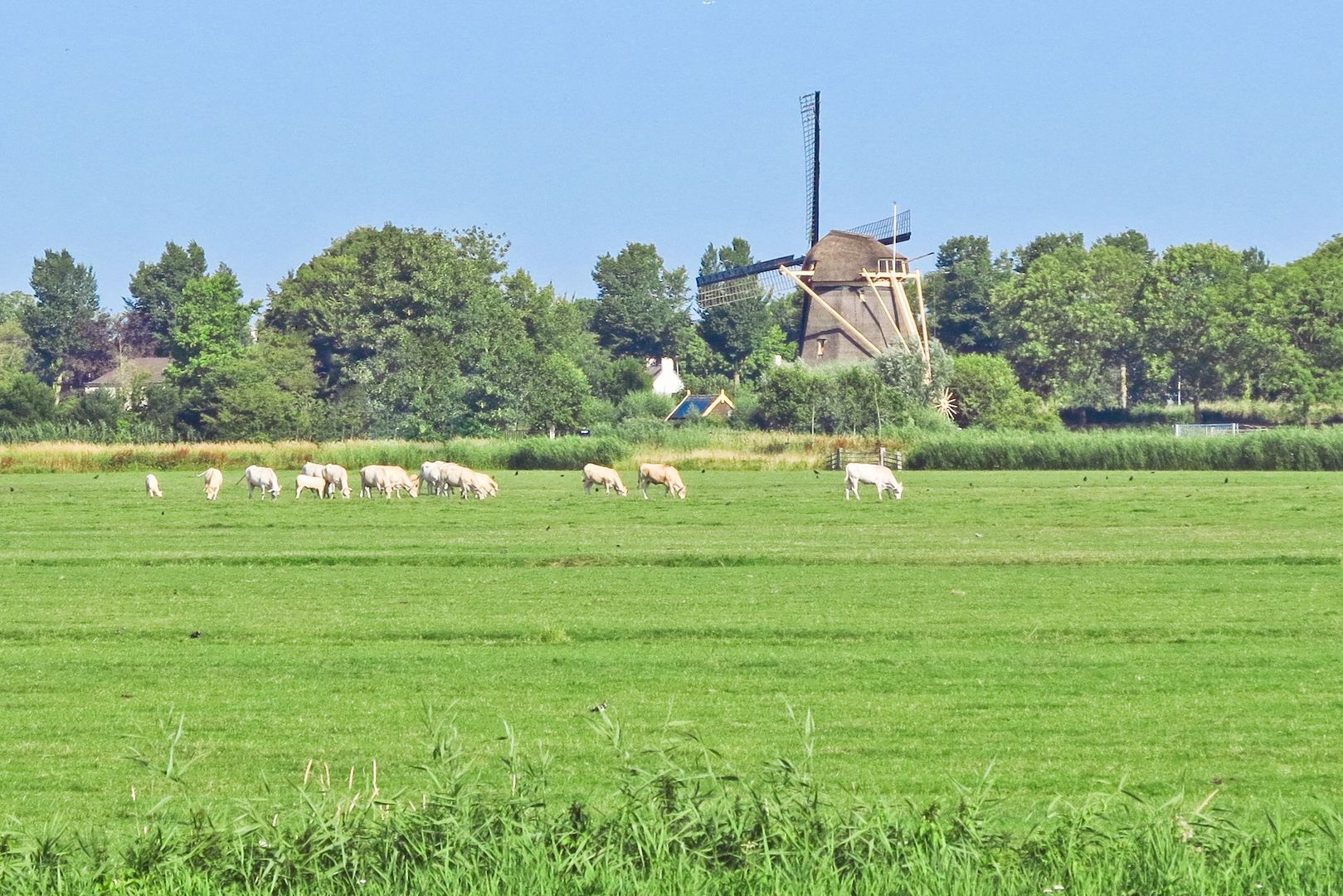 Rondehoep Oost 13 A, Ouderkerk Aan De Amstel foto-53 blur