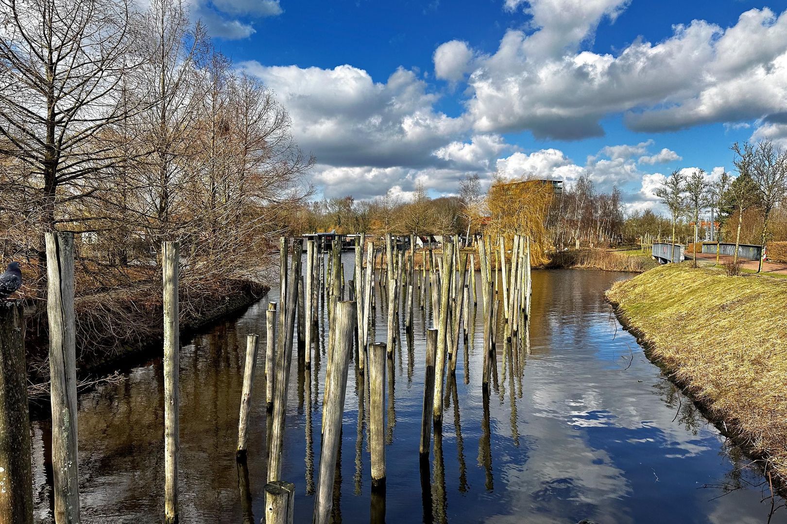 Afroditekade 178 B, Amsterdam foto-30 blur
