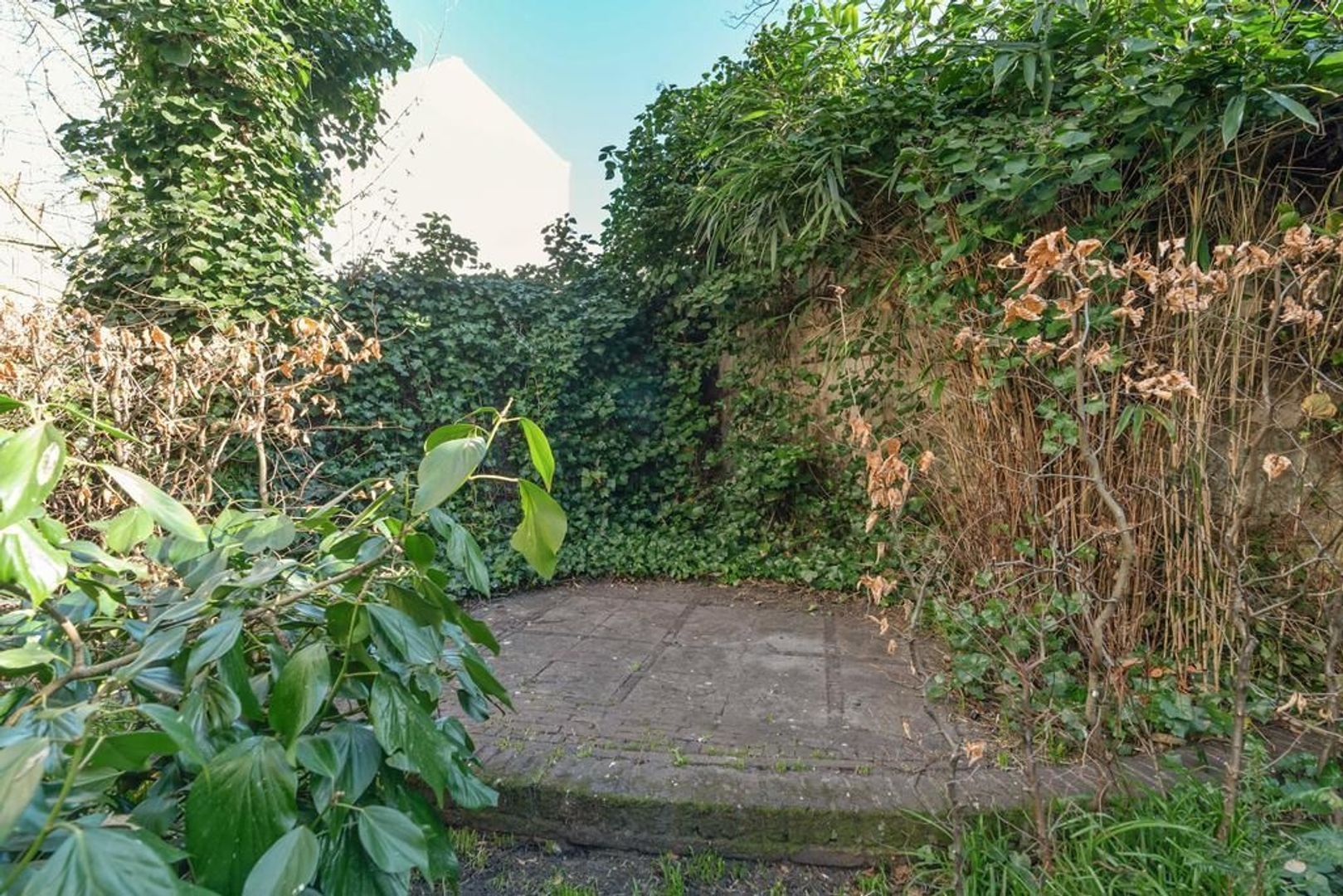 Prinsengracht 407 A, Amsterdam foto-28 blur