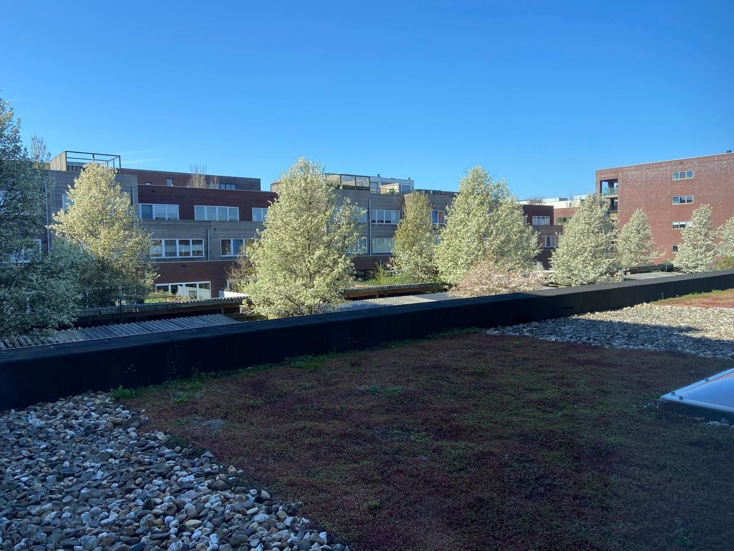 Polygoongracht 32, Amsterdam foto-47 blur