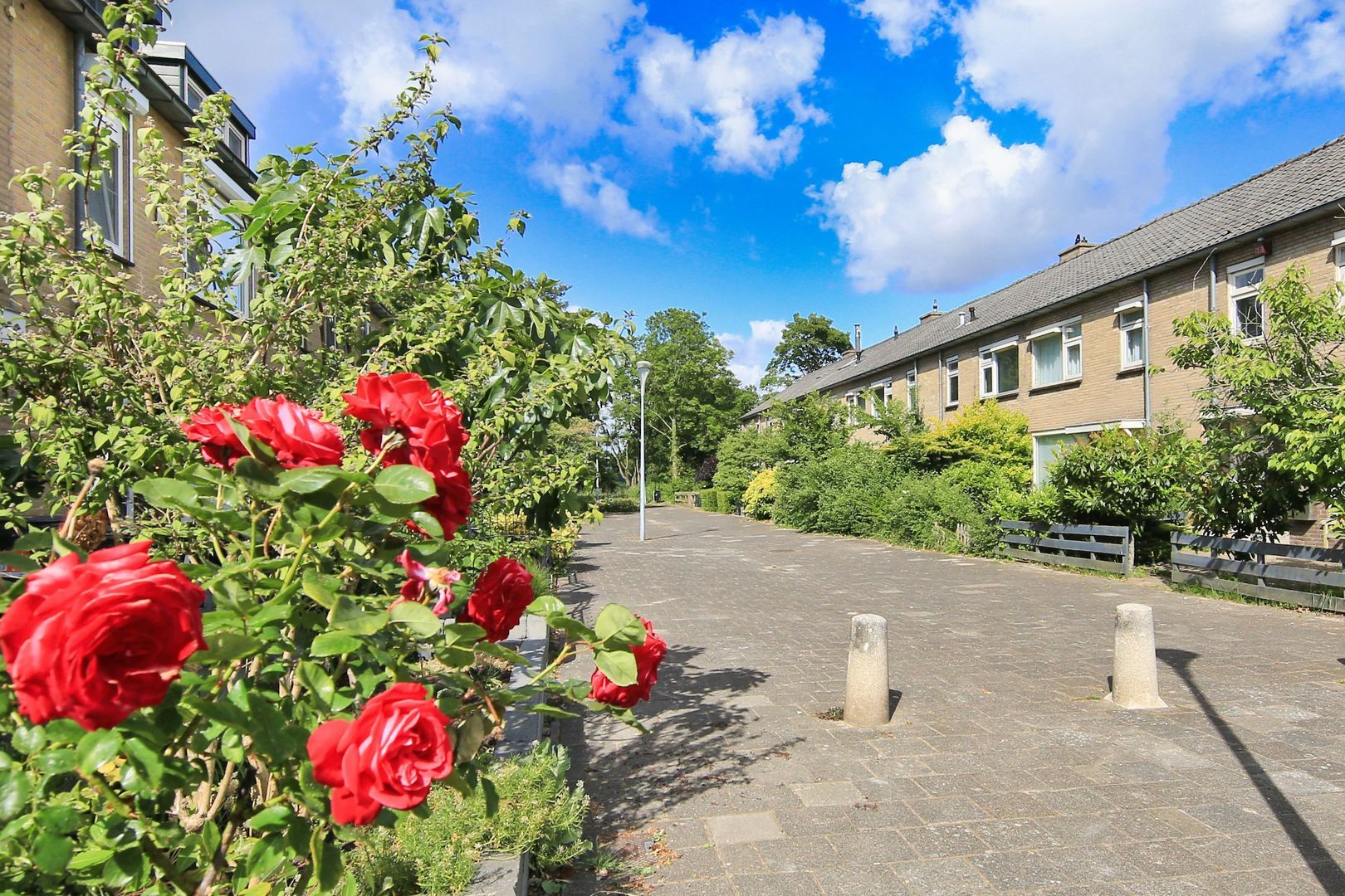 Amestelle 247, Zwanenburg foto-1 blur