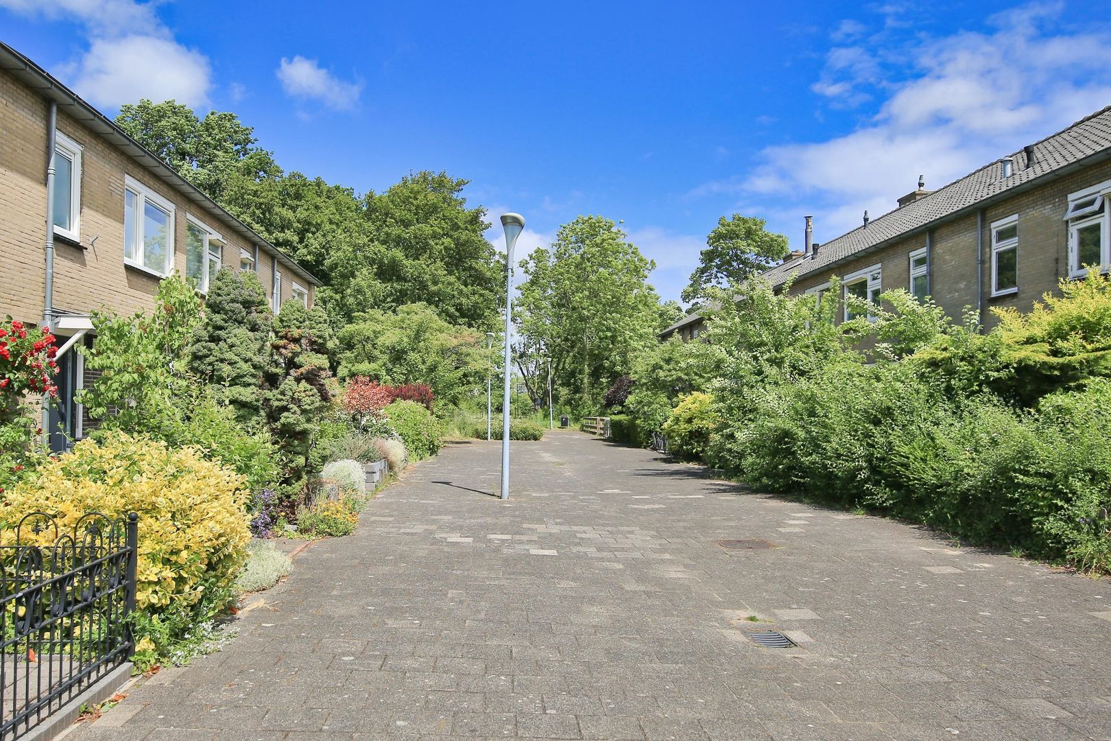 Amestelle 247, Zwanenburg foto-33 blur