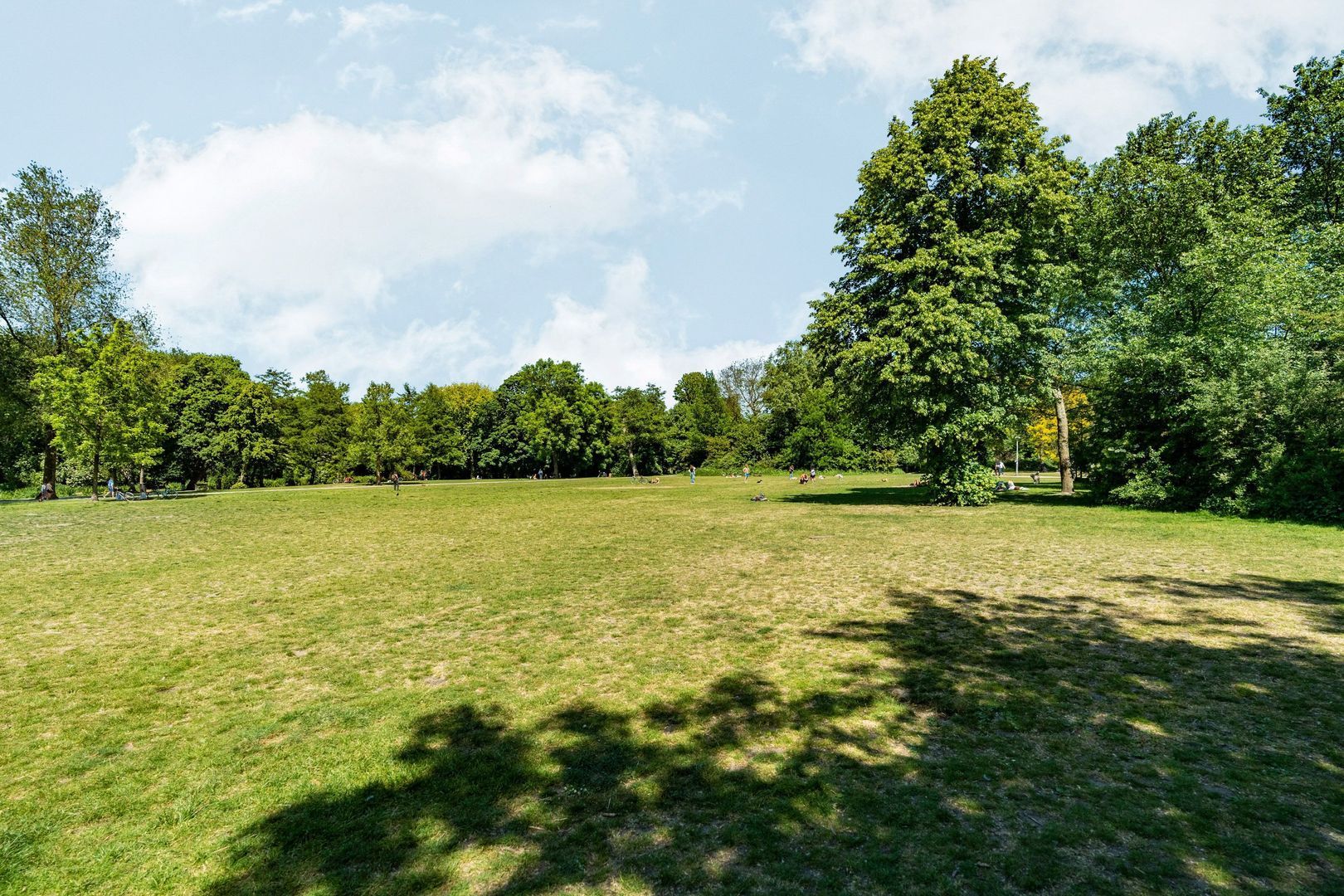 Koninginneweg 130 4, Amsterdam foto-35 blur