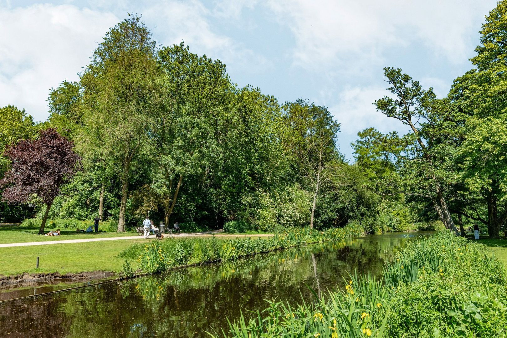 Koninginneweg 130 4, Amsterdam foto-37 blur