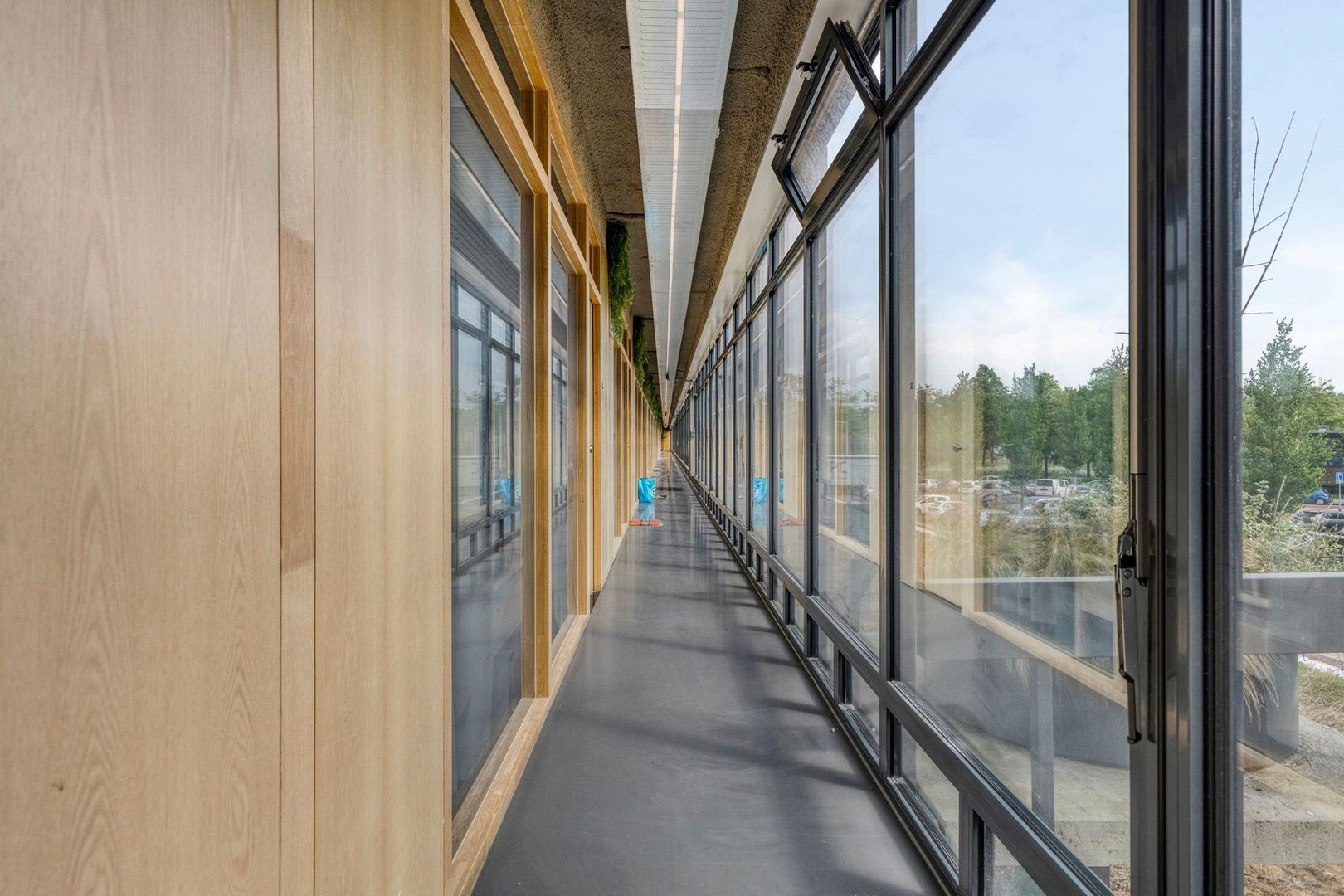 Burgemeester Hogguerstraat 1221, Amsterdam foto-17 blur