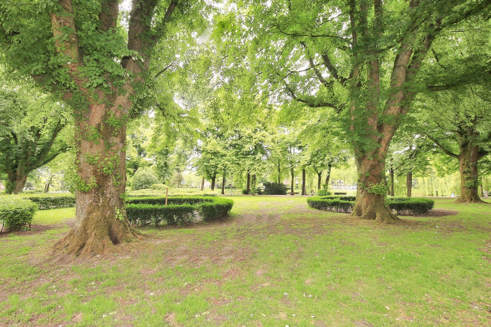 Geuzenstraat 78 H, Amsterdam foto-31 blur