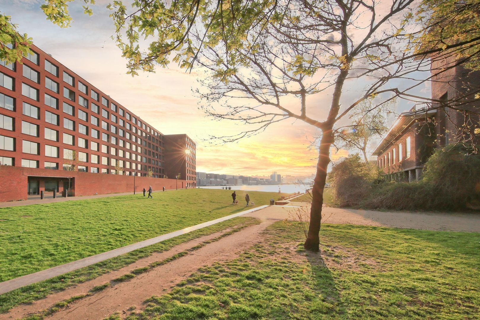 Bogortuin 55, Amsterdam foto-2 blur