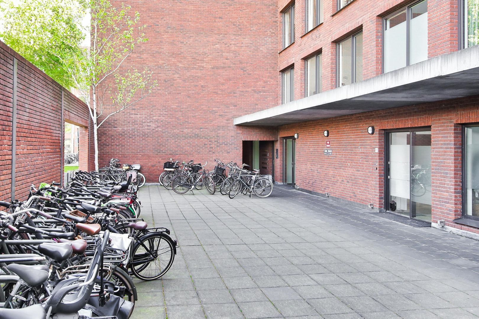 Bogortuin 55, Amsterdam foto-46 blur
