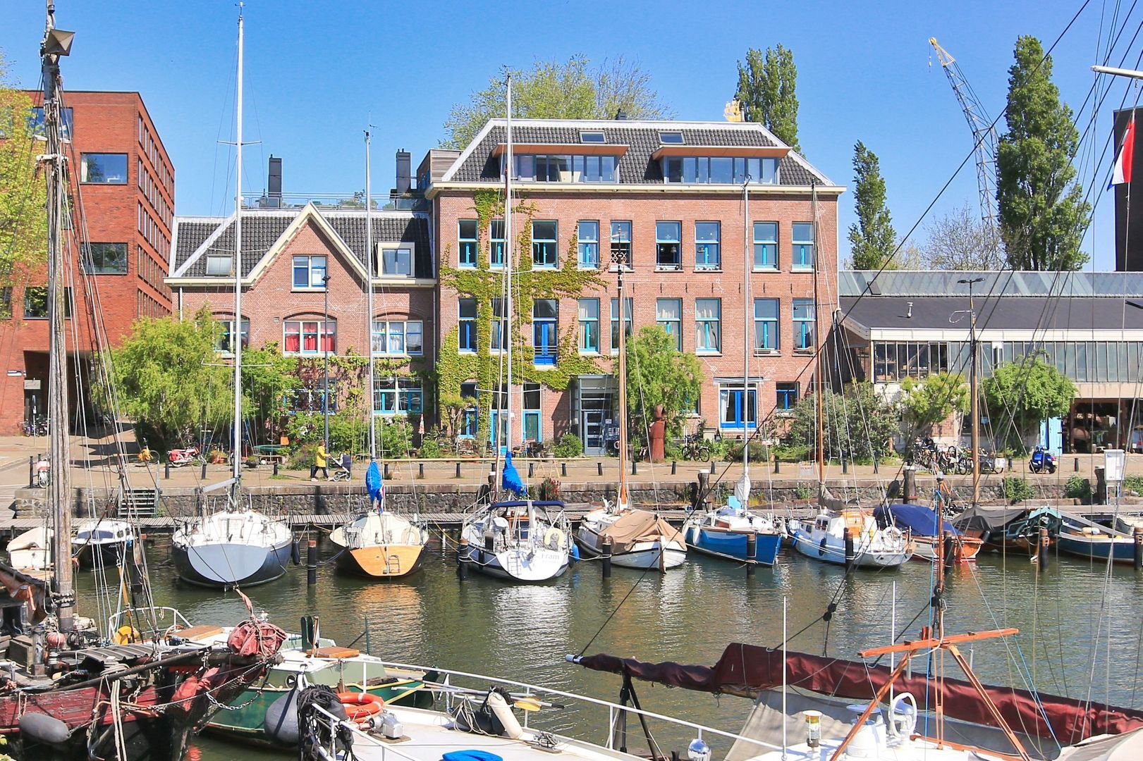 Bogortuin 55, Amsterdam foto-55 blur