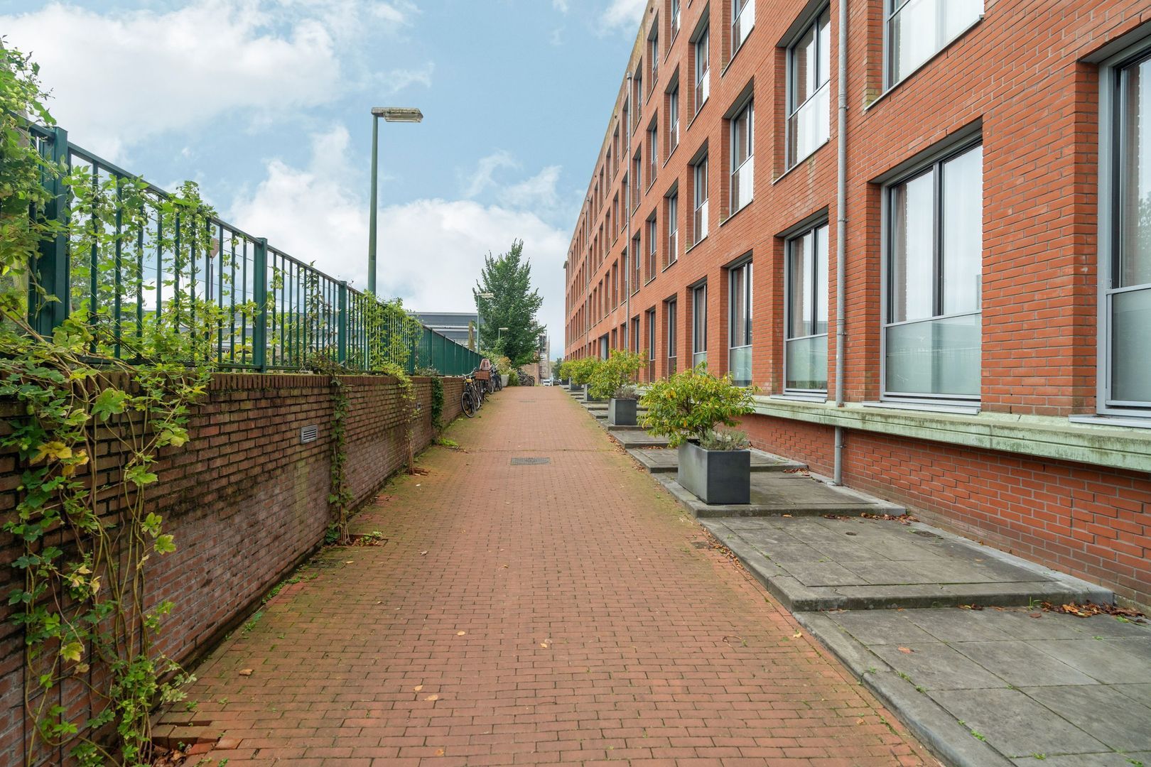 Jacob Burggraafstraat 166, Amsterdam foto-21 blur