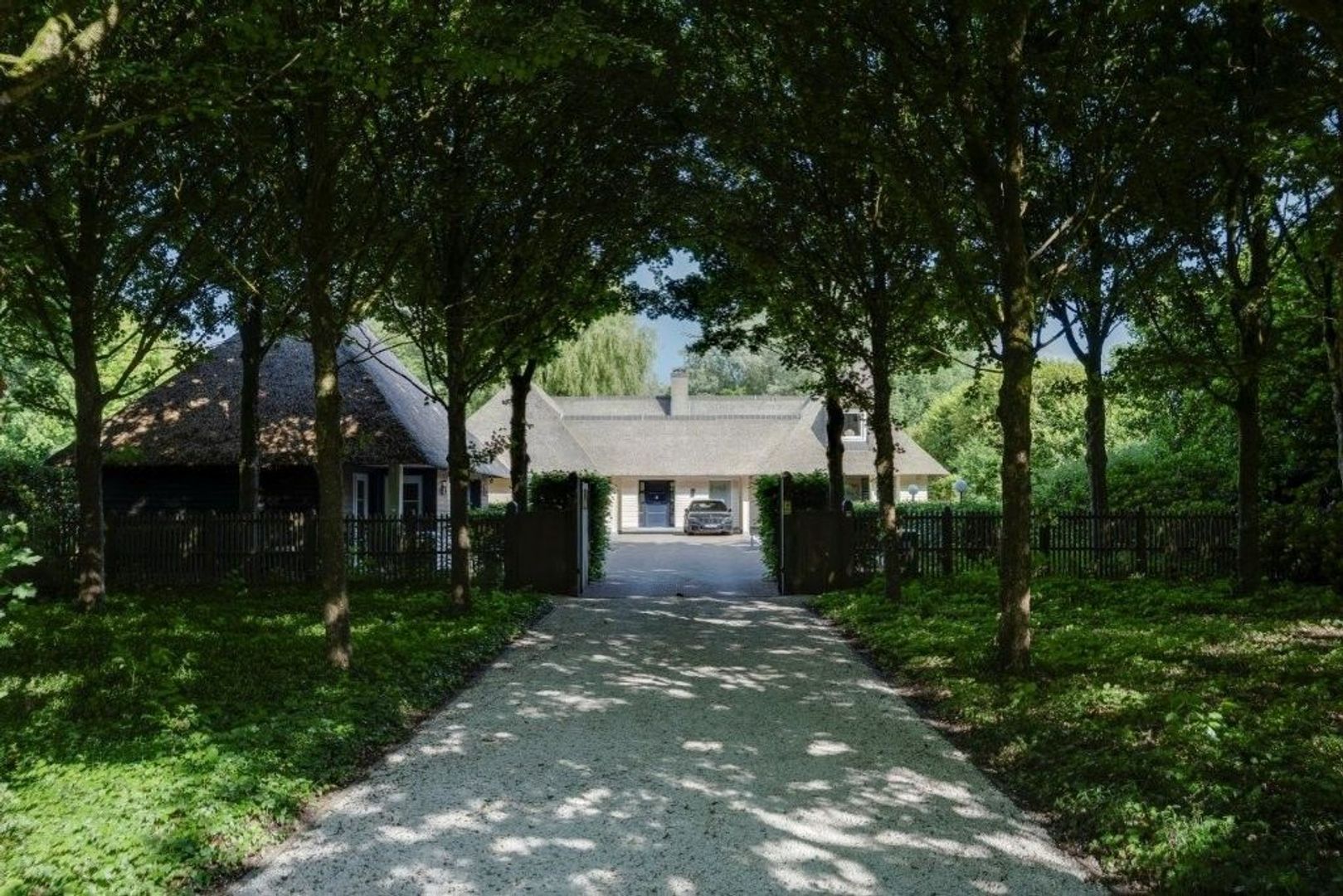 Hoge Haar 53, Schilde foto-20 blur