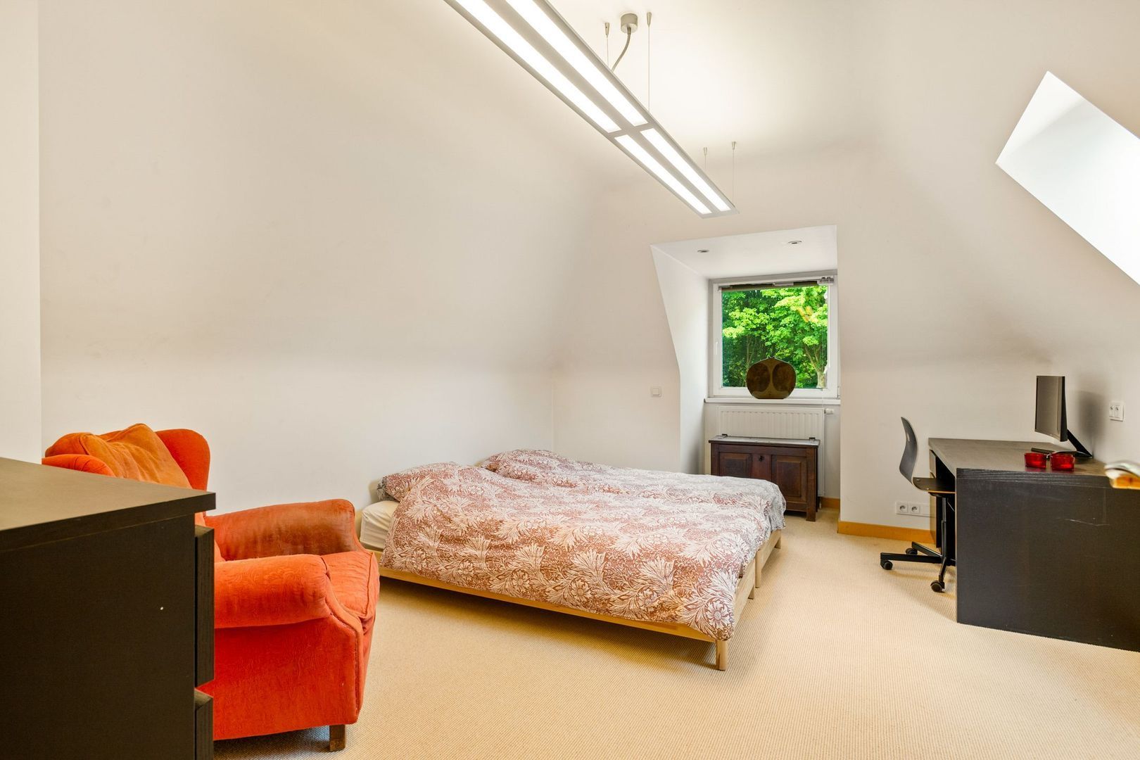 Hoge Haar 53, Schilde foto-7 blur