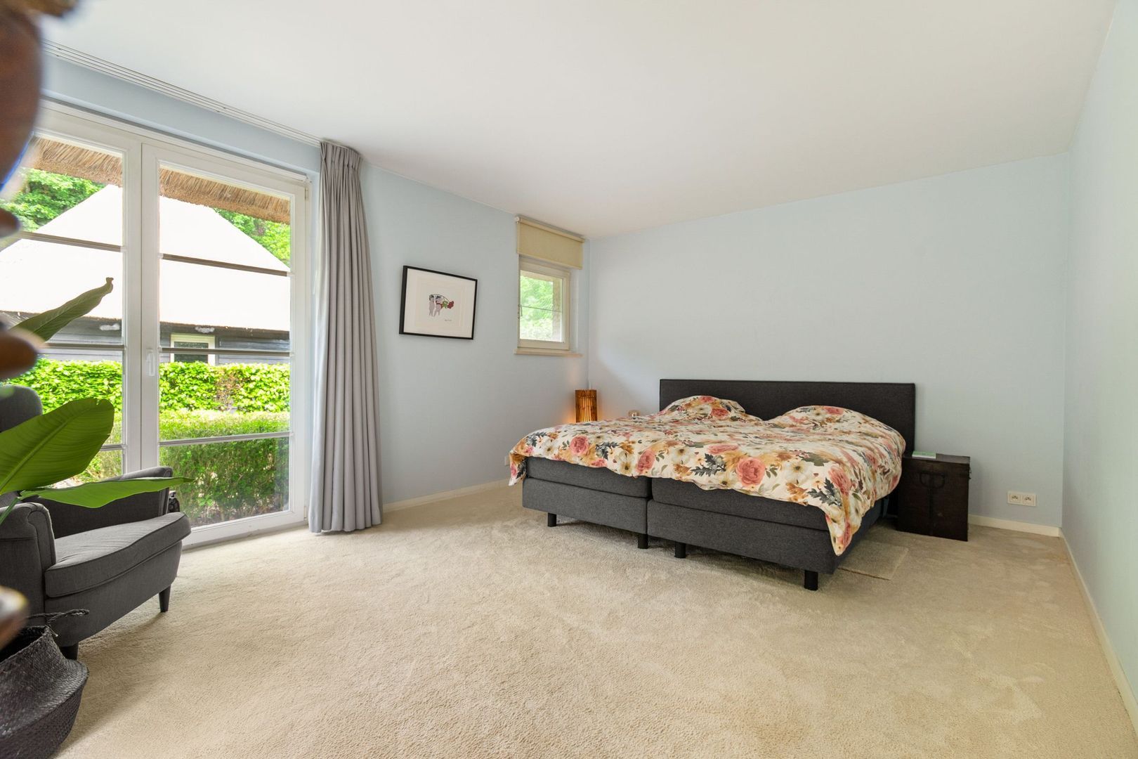 Hoge Haar 53, Schilde foto-17 blur