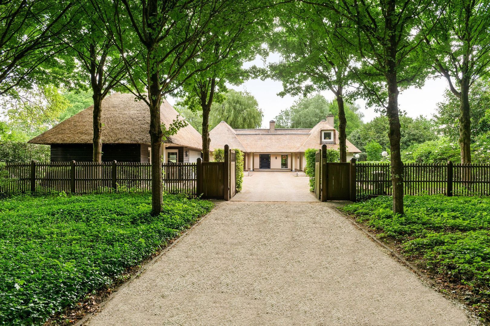 Hoge Haar 53, Schilde foto-1 blur