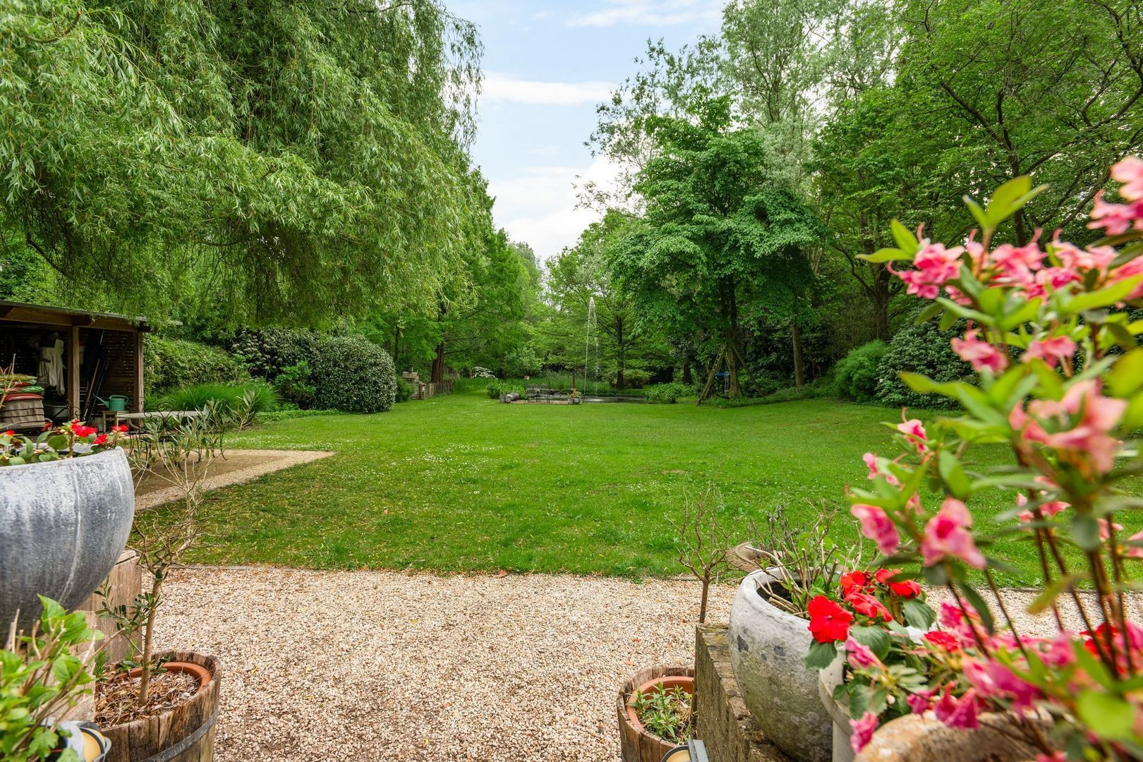 Hoge Haar 53, Schilde foto-22 blur