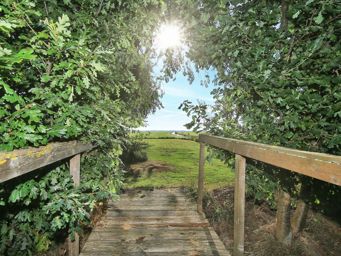 Rondehoep West 43 A, Ouderkerk Aan De Amstel foto-46 blur