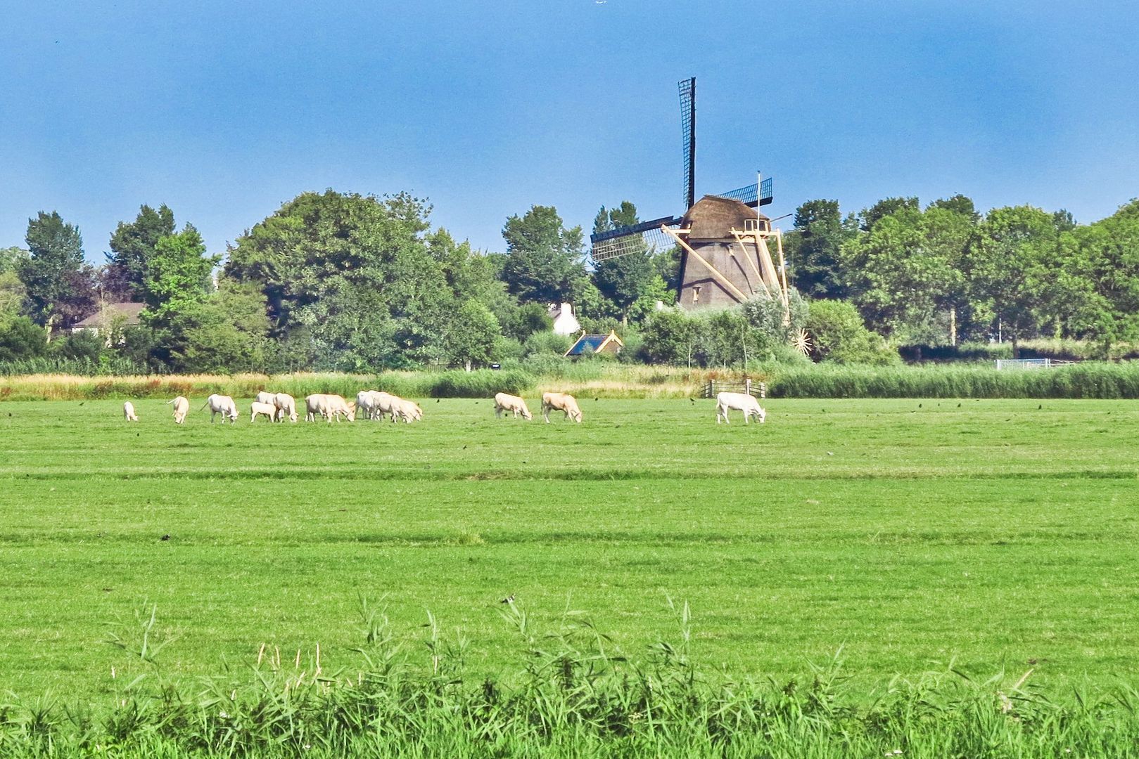 Rondehoep West 43 A, Ouderkerk Aan De Amstel foto-93 blur