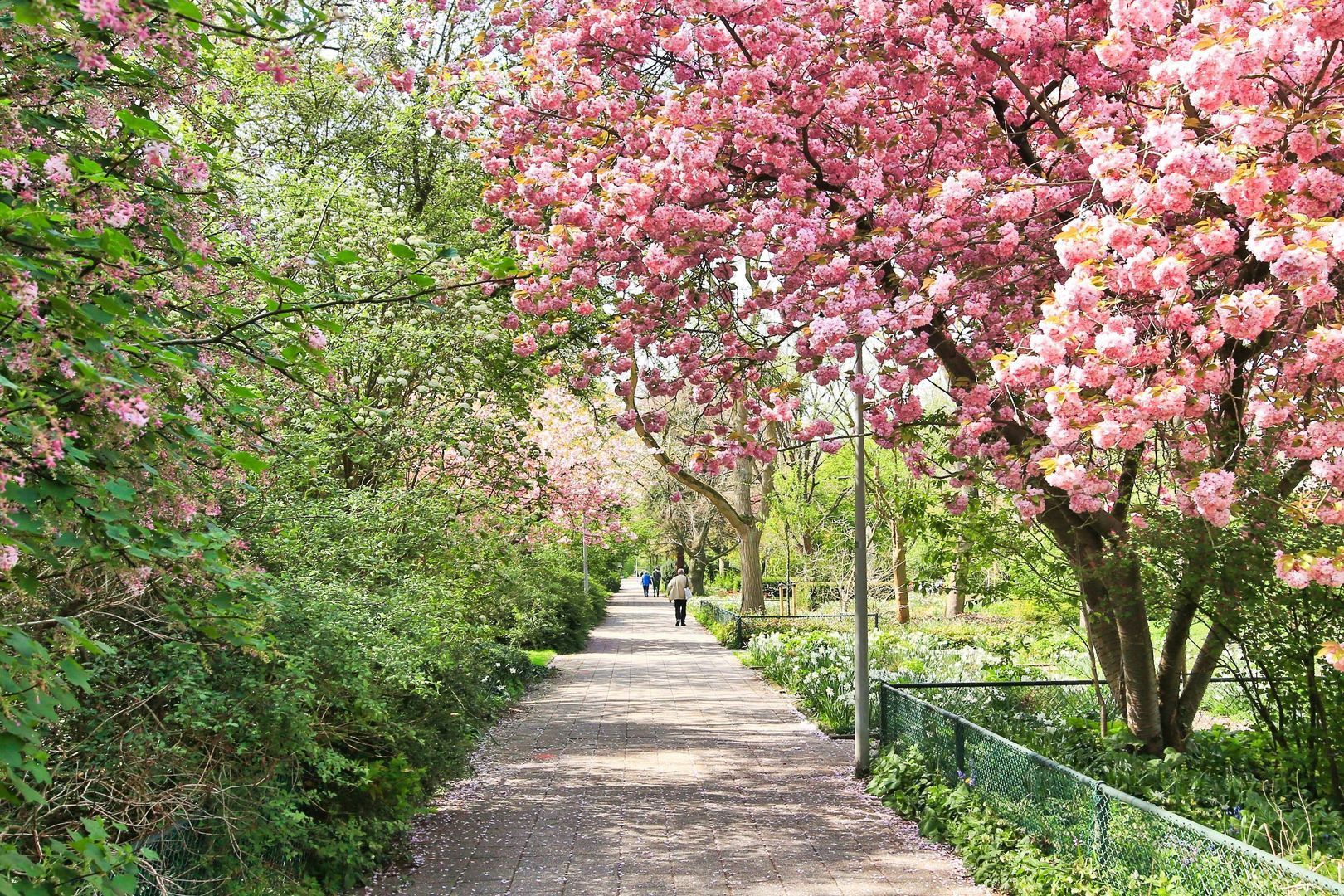 Arent Janszoon Ernststraat 711, Amsterdam foto-22 blur