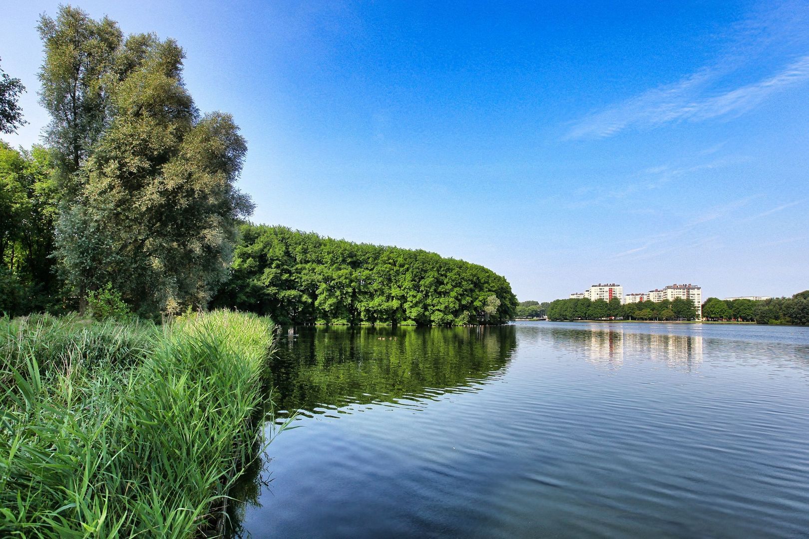 Eastonstraat 194, Amsterdam foto-39 blur