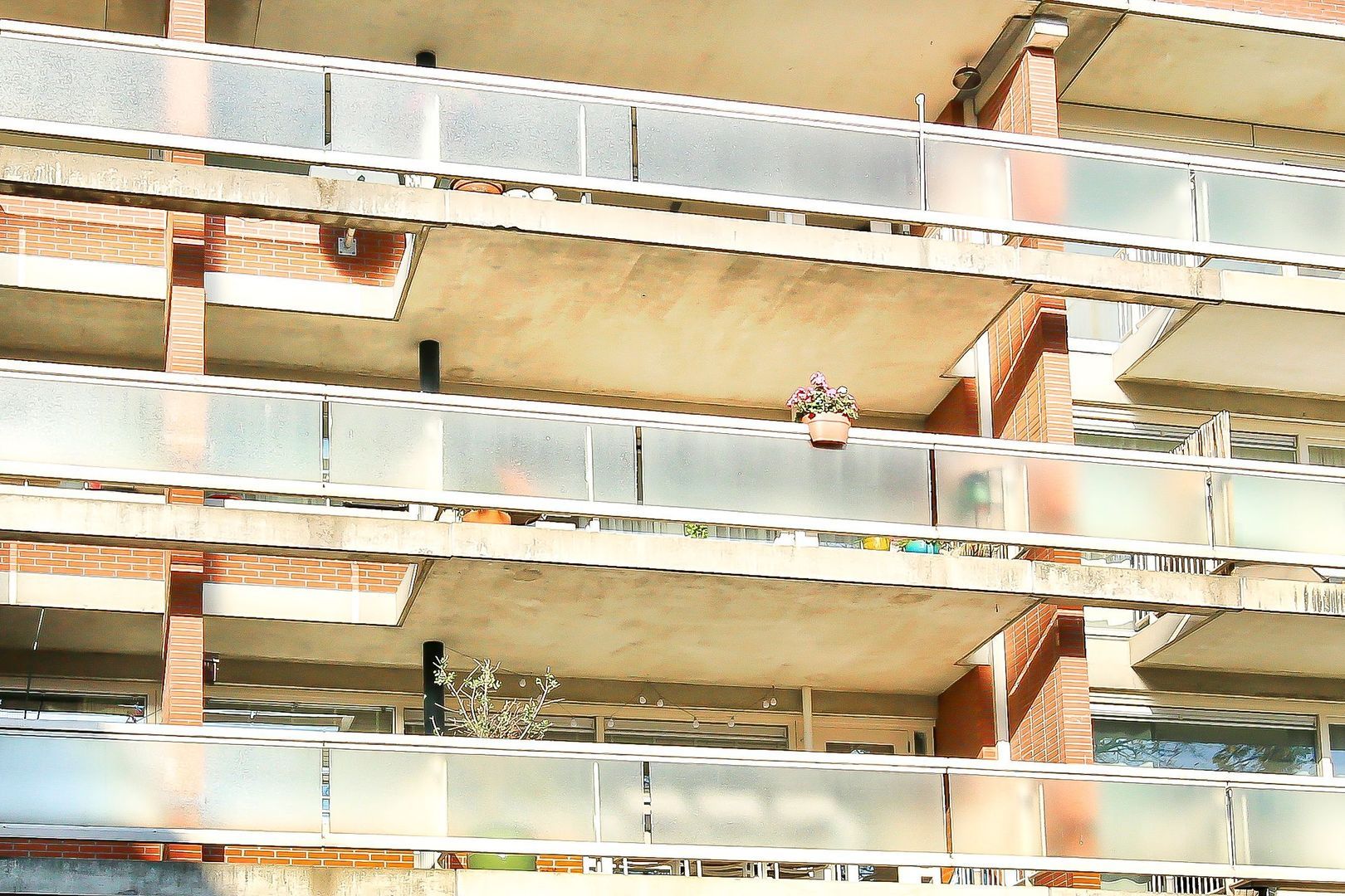 Oeverpad 259, Amsterdam foto-43 blur