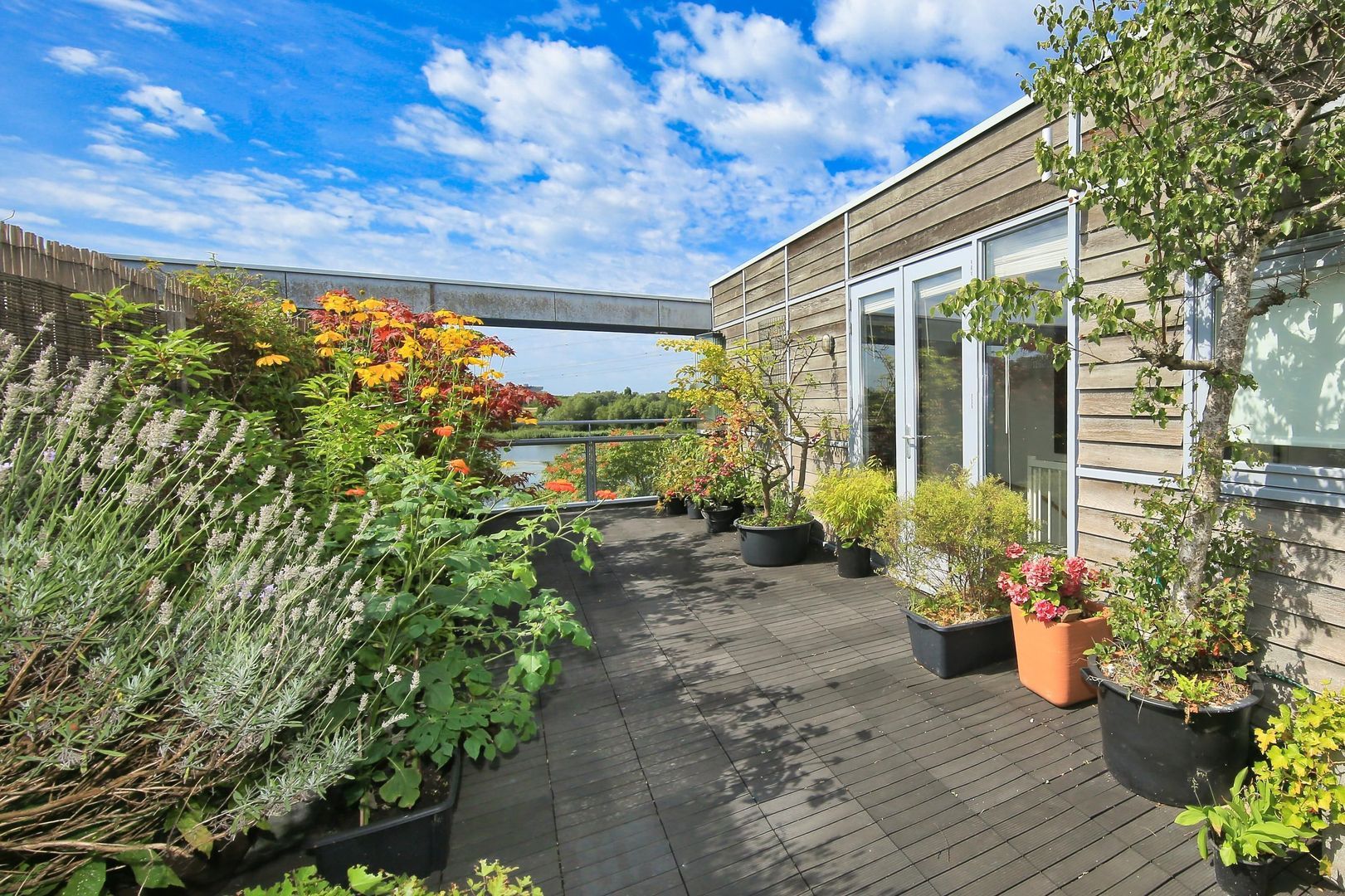 Oeverzeggestraat 36, Amsterdam foto-33 blur