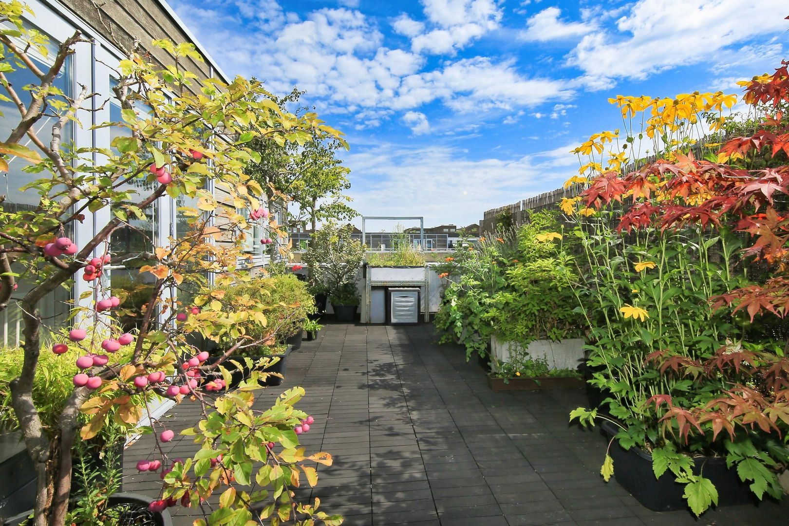 Oeverzeggestraat 36, Amsterdam foto-34 blur