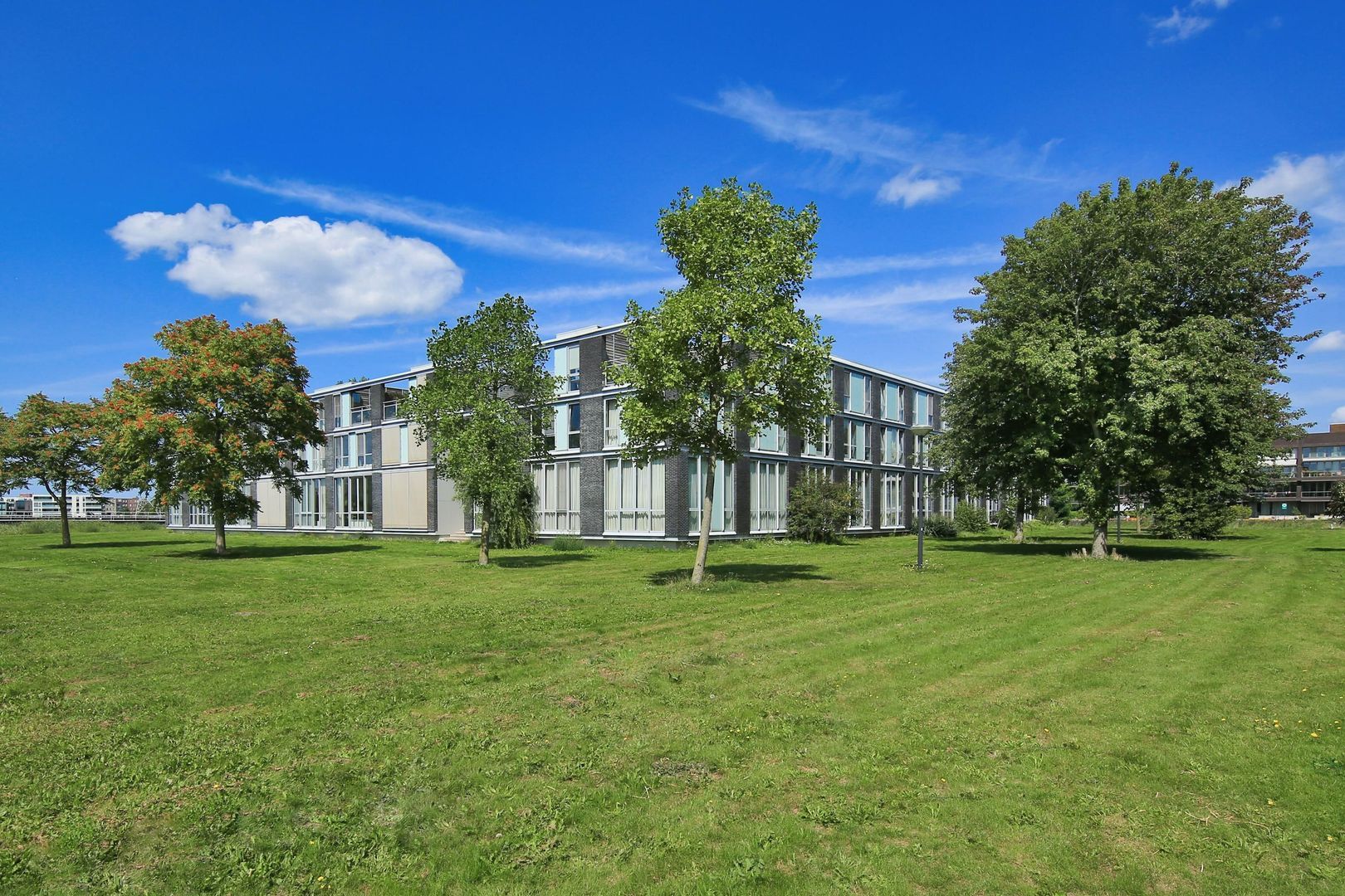 Oeverzeggestraat 36, Amsterdam foto-40 blur