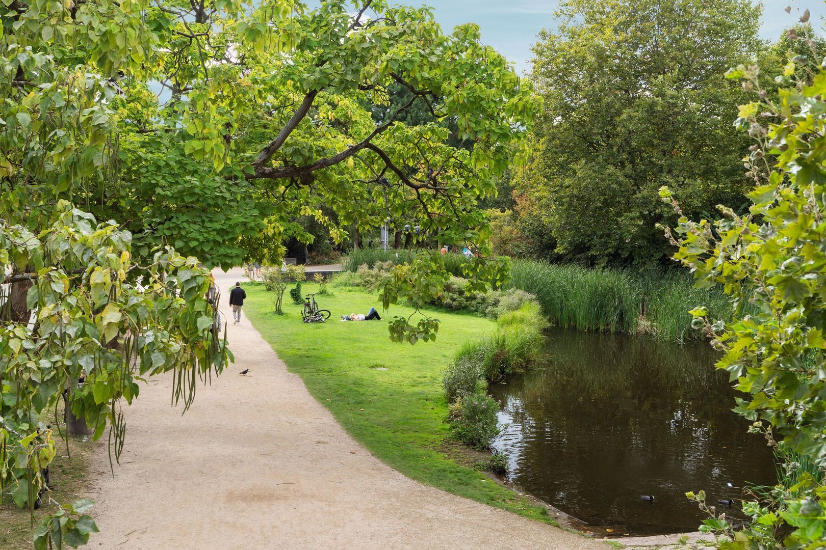 Emmaplein 7 B, Amsterdam foto-80 blur