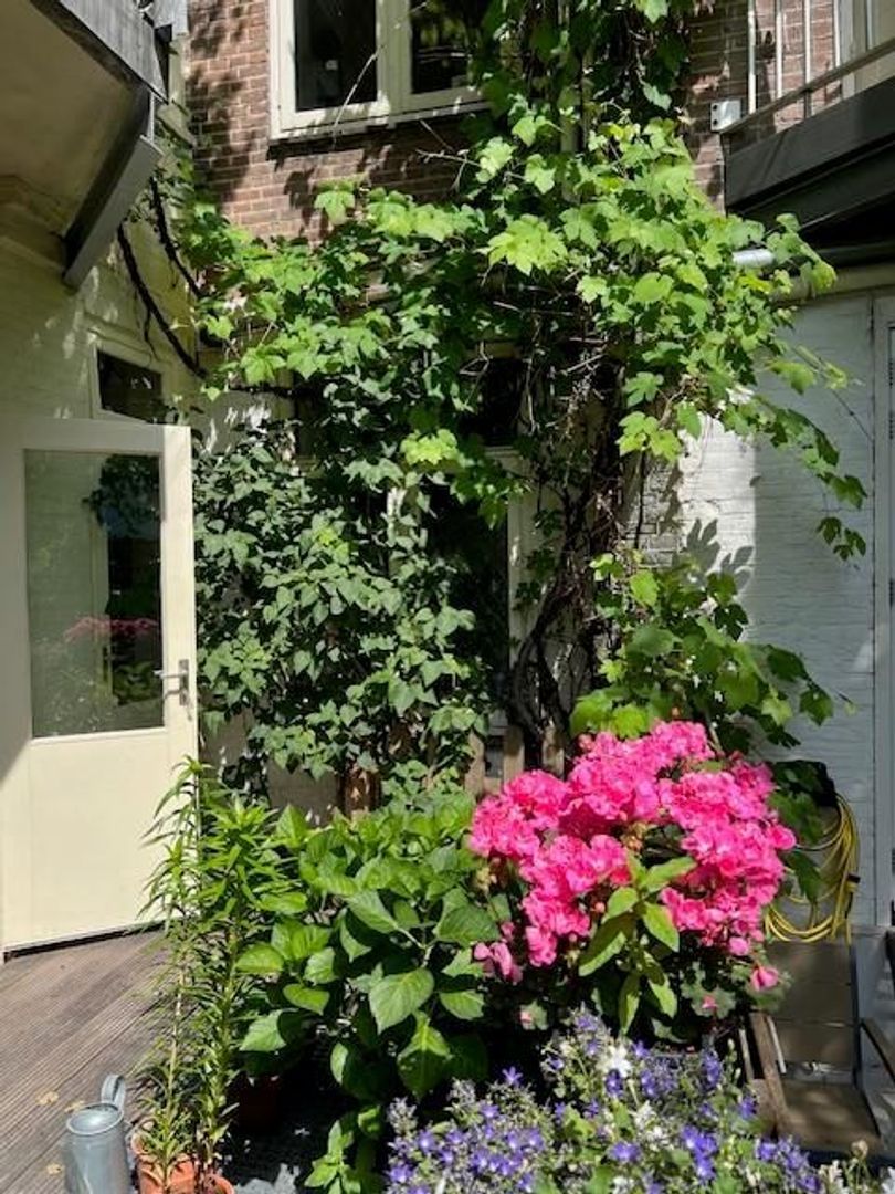 Hillegomstraat 3 H, Amsterdam foto-22 blur