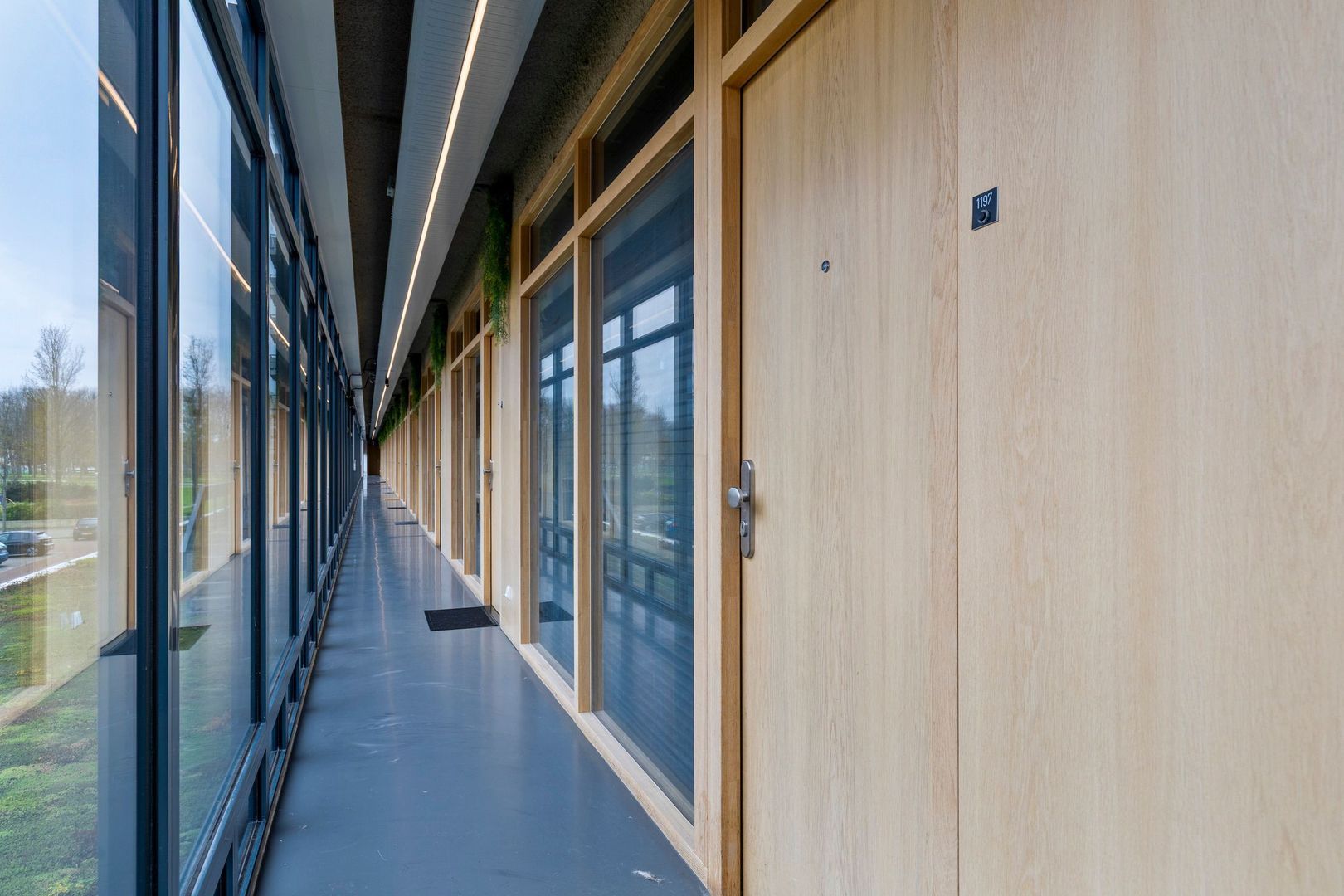 Burgemeester Hogguerstraat 1197, Amsterdam foto-15 blur